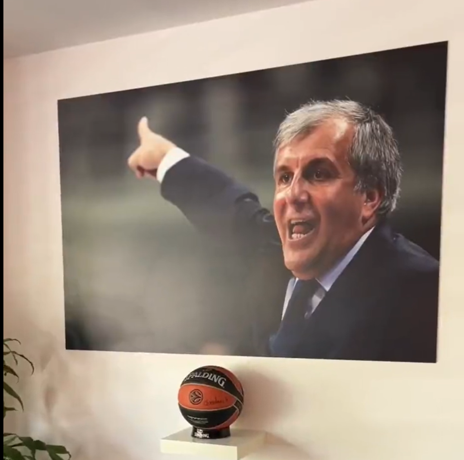 obradovic_1600x1588