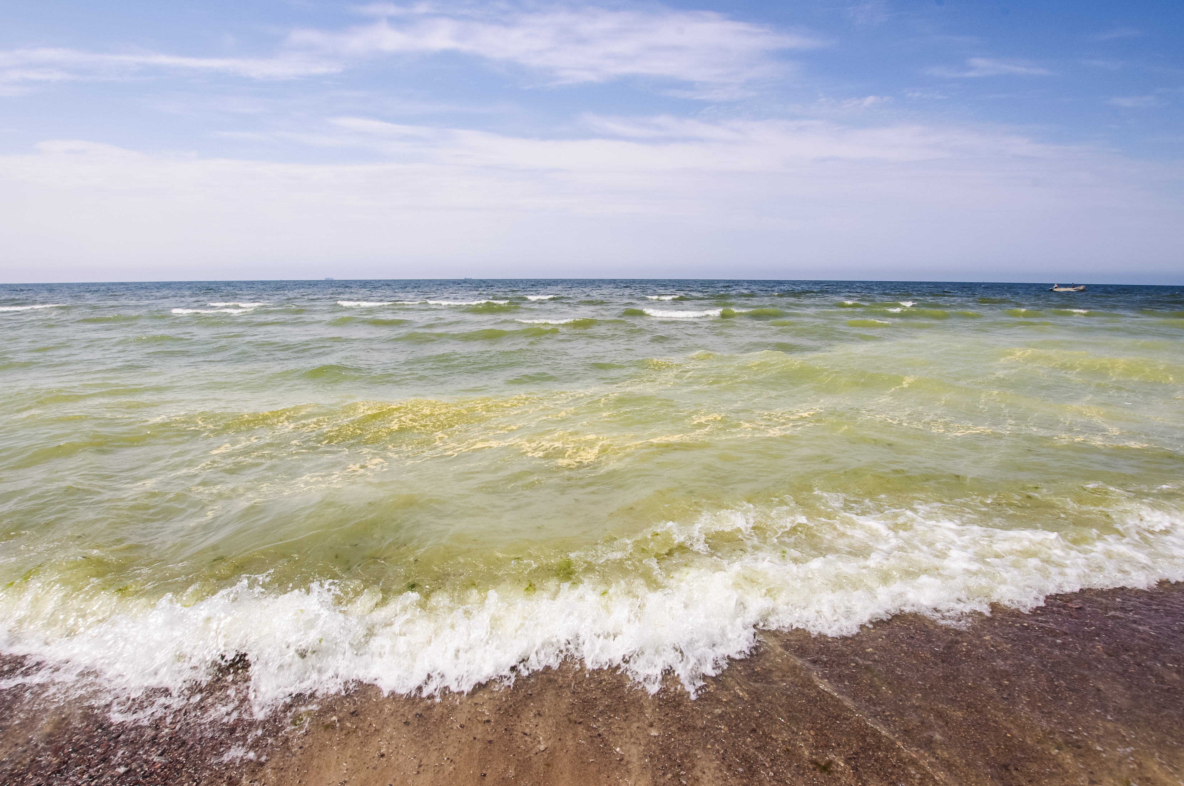 shutterstock_195023108