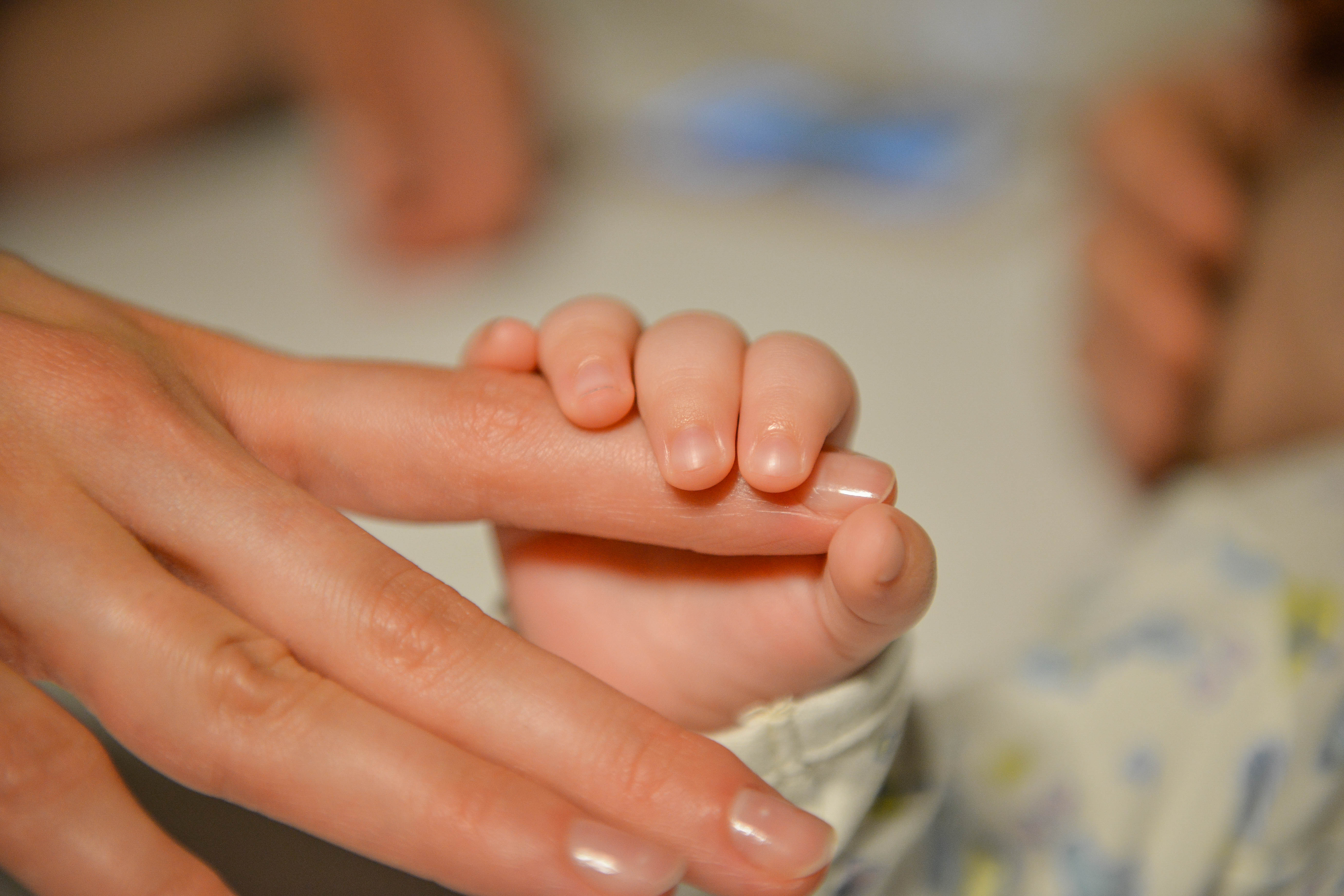 shutterstock_1240418332