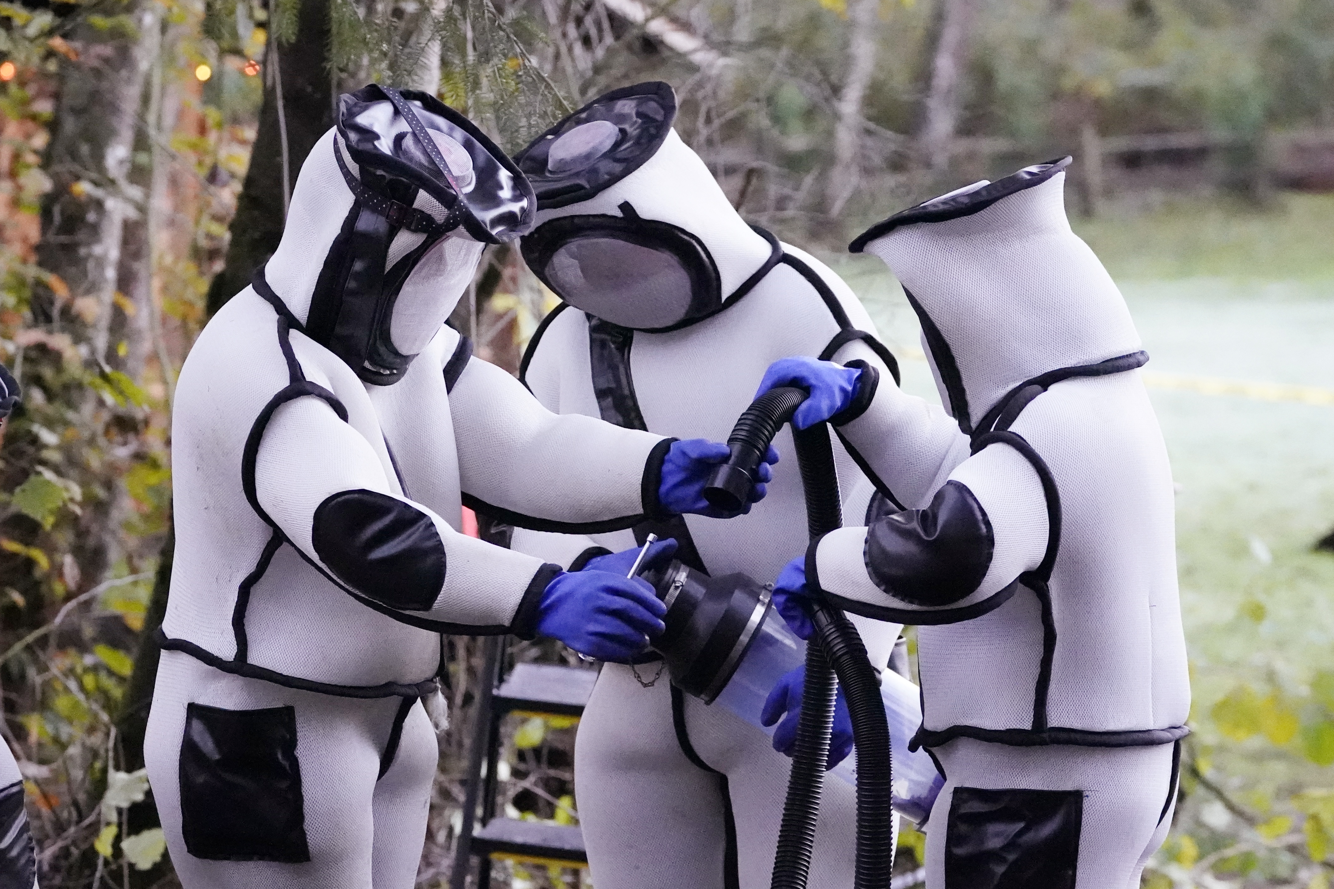 strsljen, Murder Hornets Nest