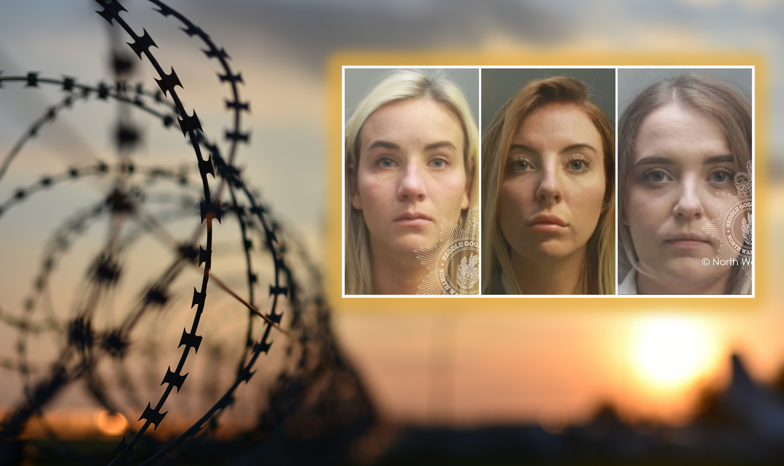 three female guards, Jennifer Gavan, 27, Ayshea Gunn, 27 and Emily Watson, 26, were all jailed in the last year for relationships with the inmates.