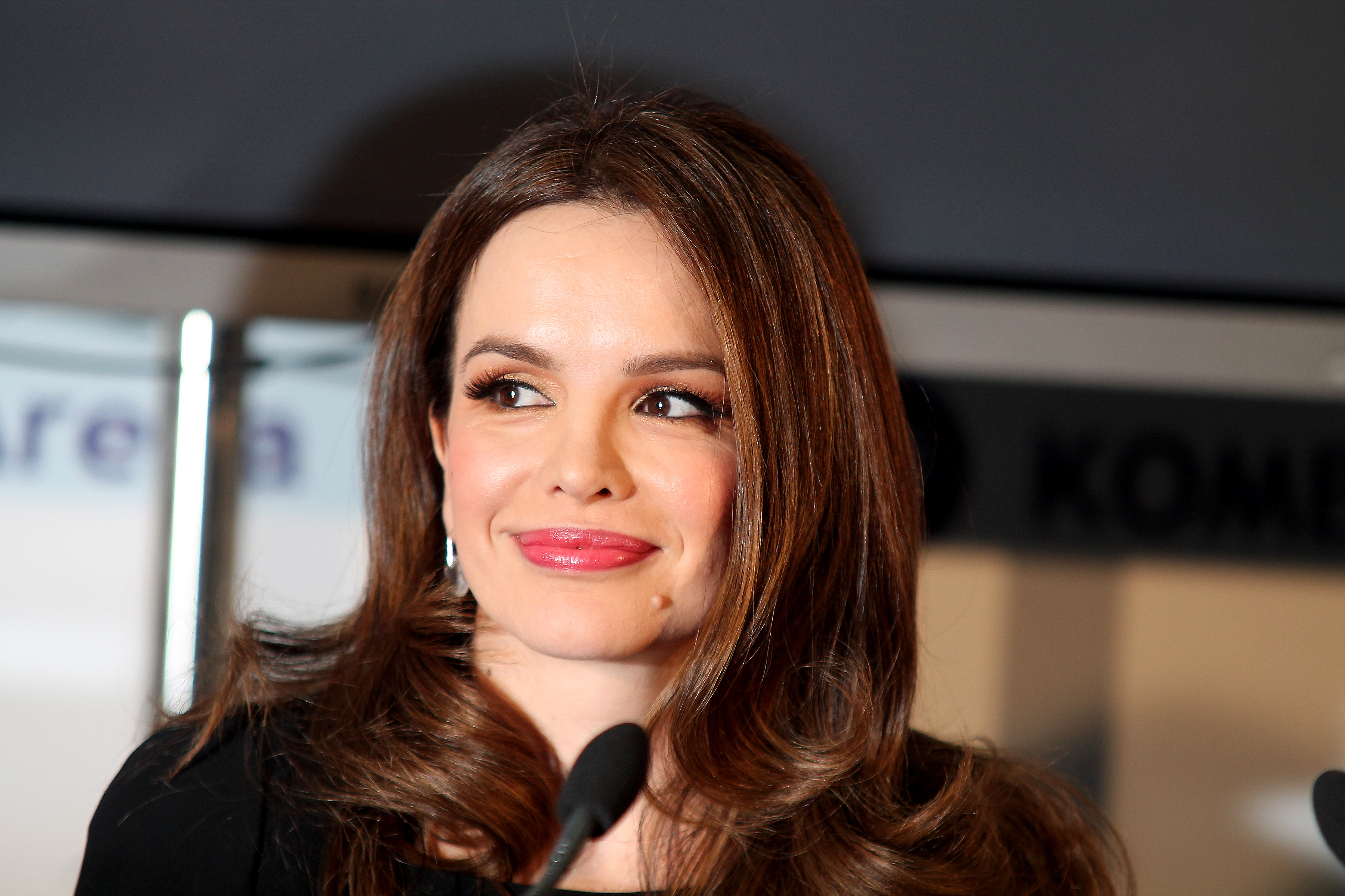 Press conference of Severina Vuckovic on the occasion of a concert in Kombank arena.Pres konferencija Severine Vuckovic povodom koncerta u Kombank areni