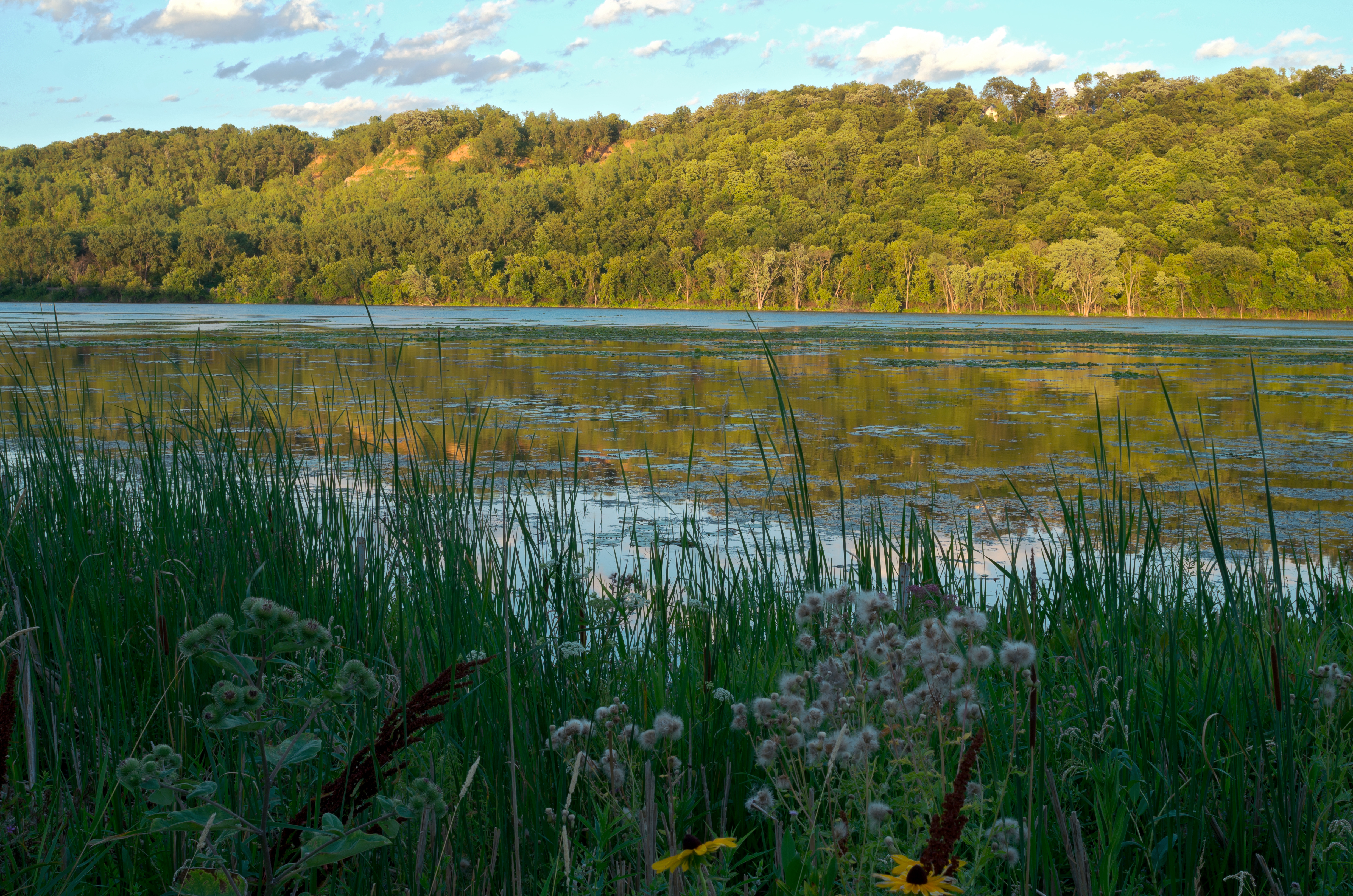 Minnesota river