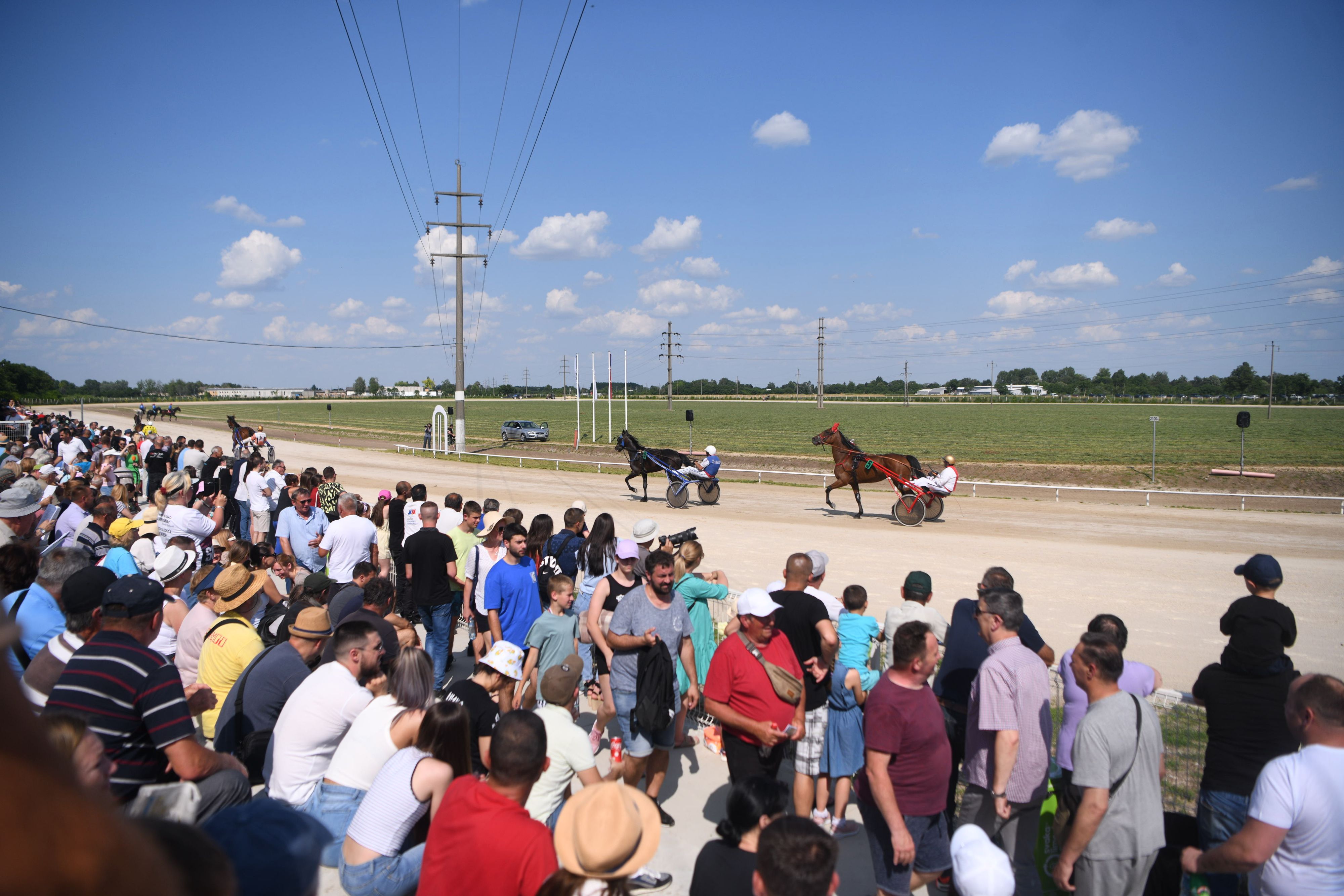 Sombor 18.06.2023.  Konjičke trke, pripreme, hipodrom Foto: Filip Krainčanić/Nova.rs