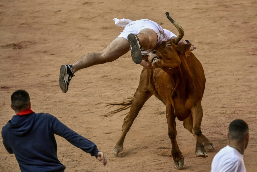 A reveler is pushed by a cow at the end of the fourth running of the bulls during the San Fermin fiestas in Pamplona, Spain, Monday, July 10, 2023. (AP Photo/Alvaro Barrientos)