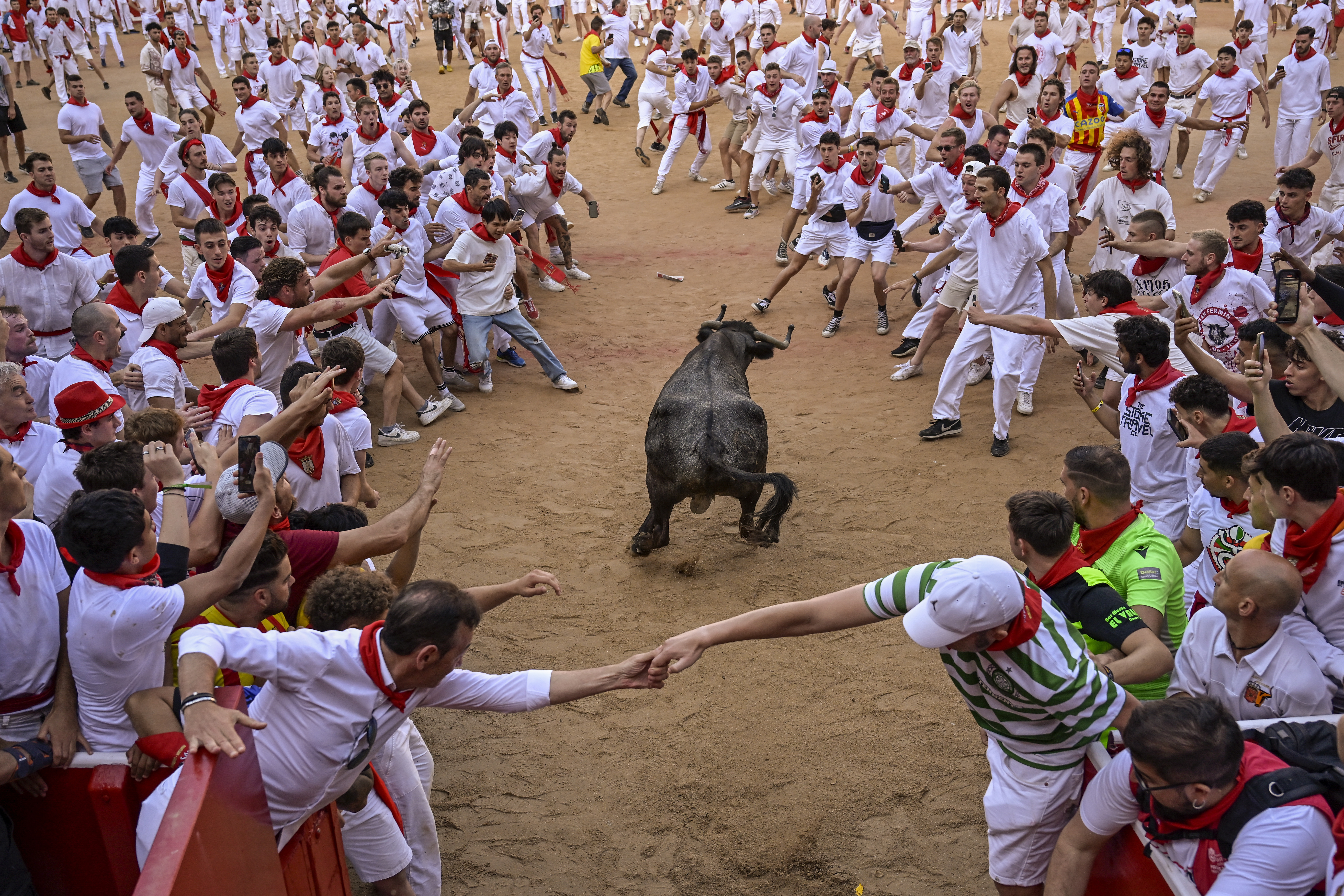 Revelers stand around the cow as it enters the bull ring at the end of the fourth running of the bulls during the San Fermin fiestas in Pamplona, Spain, Monday, July 10, 2023. (AP Photo/Alvaro Barrientos)