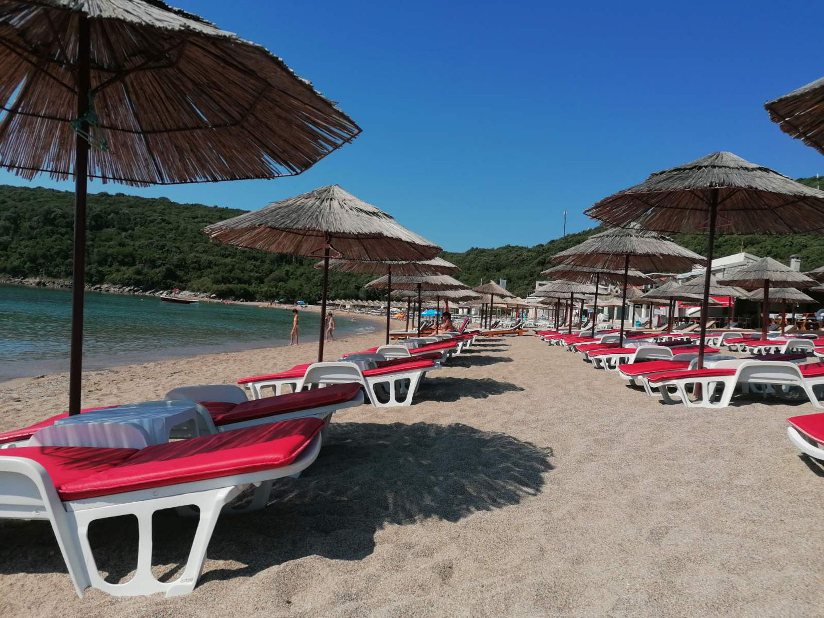 IMG-e1d327011bebcfd29a4330cda53a39bc-V