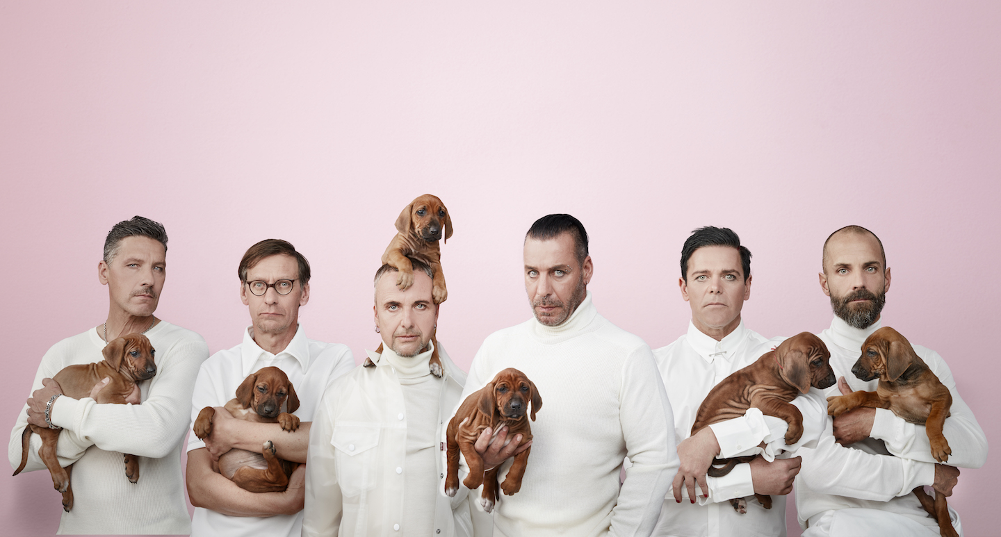 13.04.2019
Rammstein, Welpen. Puppy, Jens Koch
Photo ©:  Jens Koch 
mobil:         +49 178 85 17 61 0
email:    jens@jenskochphoto.com
web:       www.jenskochphoto.com
Iban: DE55 4306 0967 1229 5889 00
BIC: GENODEM1GLS
USt.Nr. DE222728105