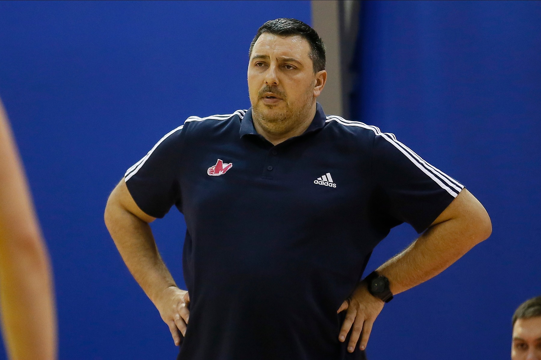 Dragoljub Avramović mega