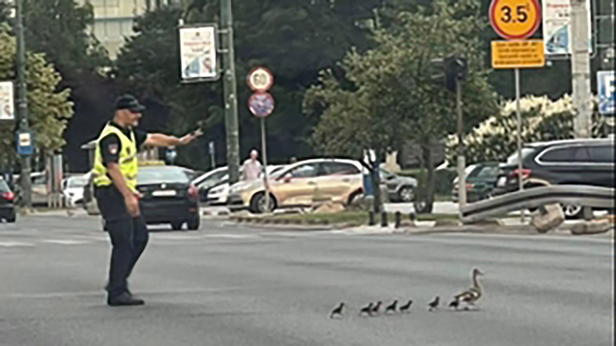 policajac patke