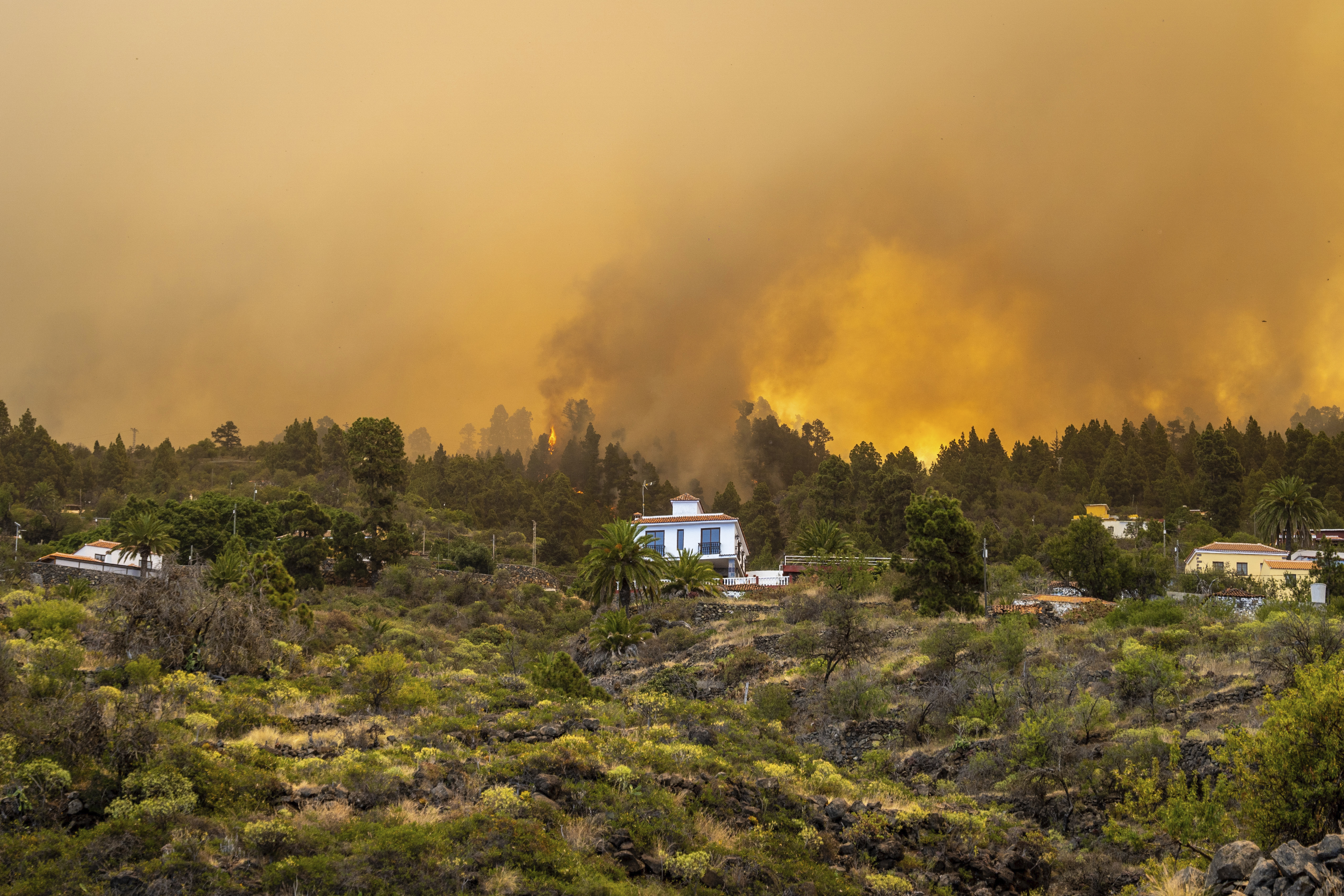 Spain Wildfires
