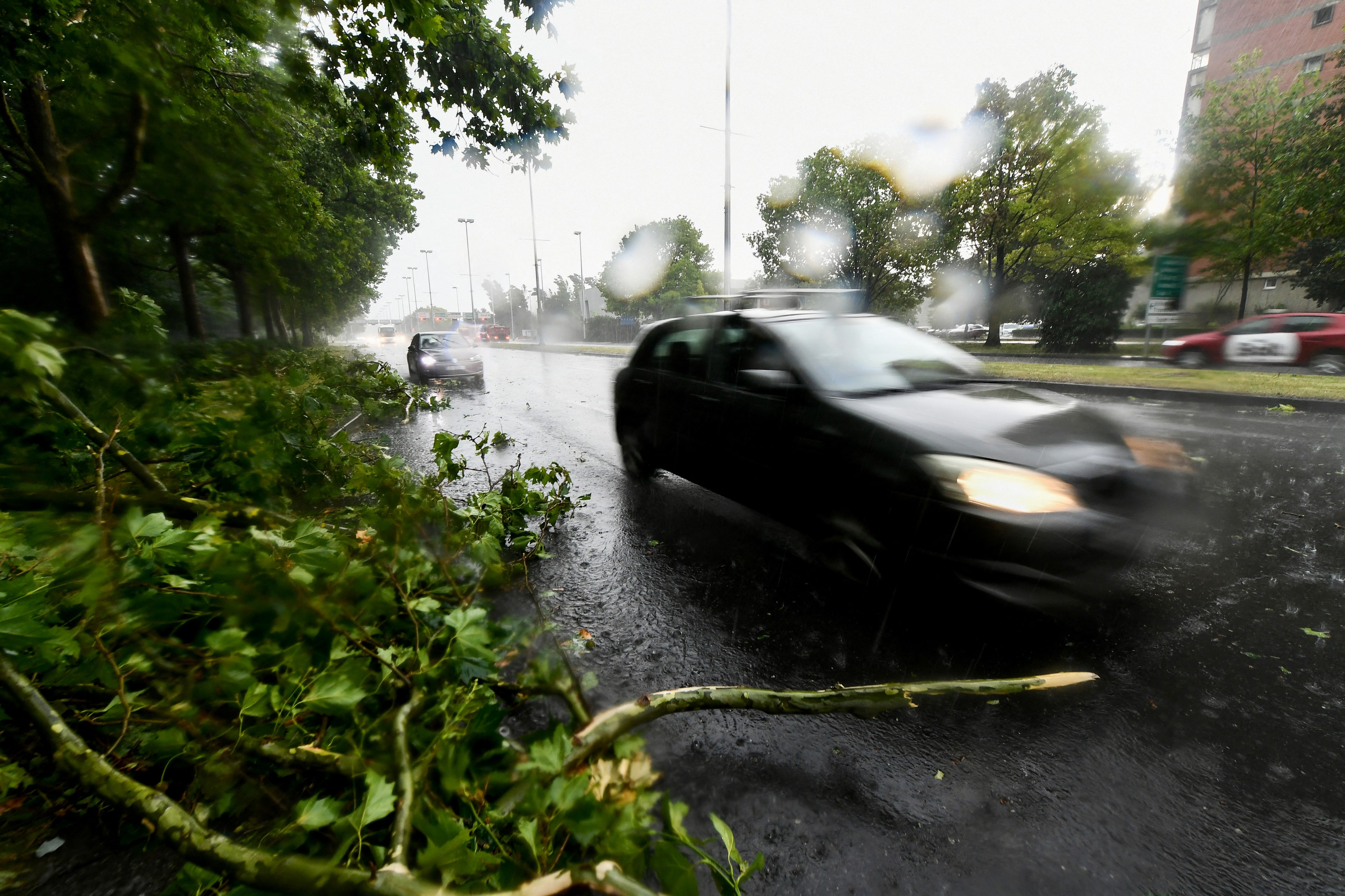 A car rides past fallen trees after a sudden storm in Zagreb, on July 19, 2023.,Image: 790318135, License: Rights-managed, Restrictions: , Model Release: no, Credit line: Denis LOVROVIC / AFP / Profimedia