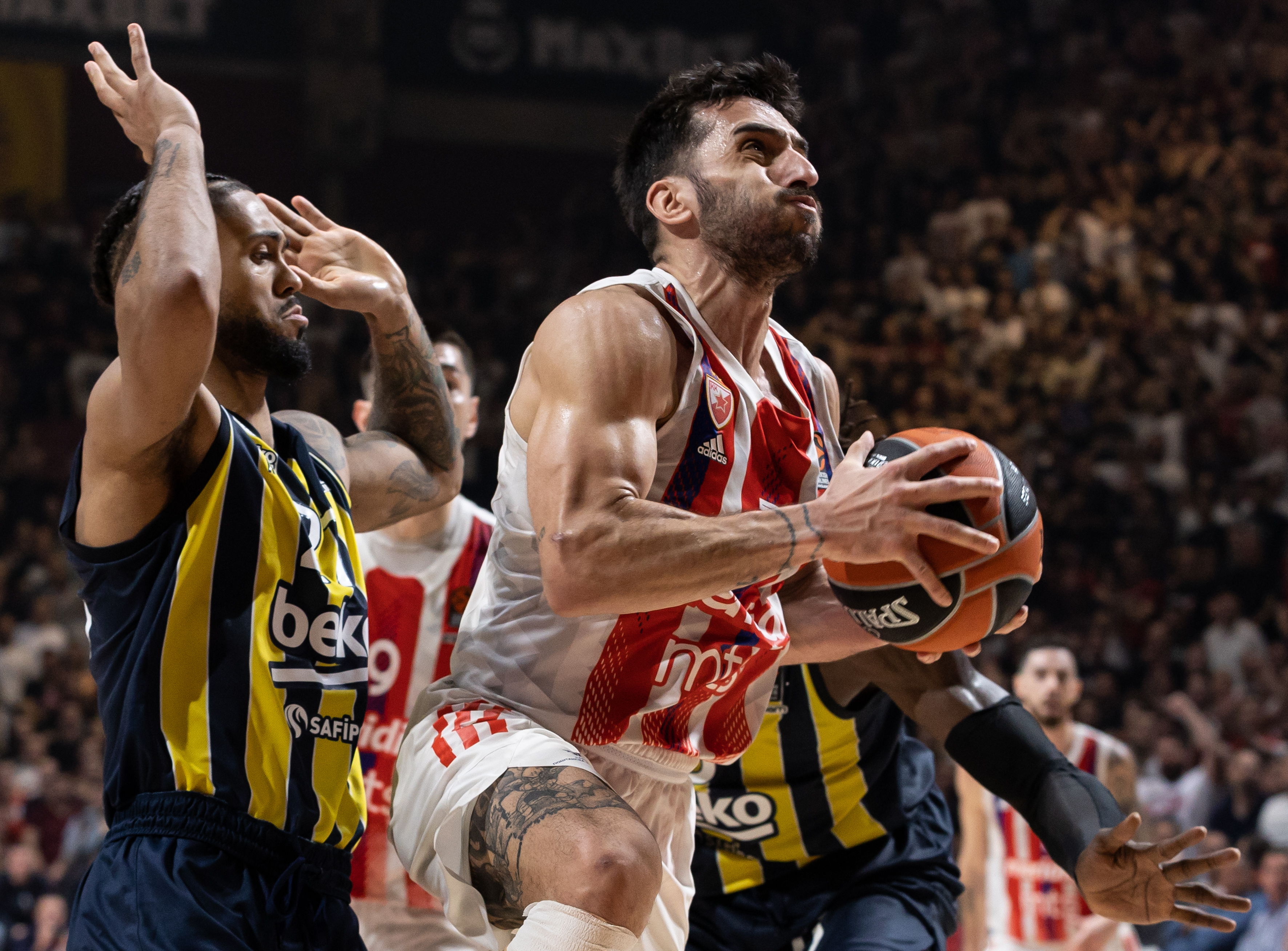 Crvena Zvezda mts Belgrade and Fenerbahce Beko Istanbul  - 2022/2023 Turkish Airlines EuroLeague