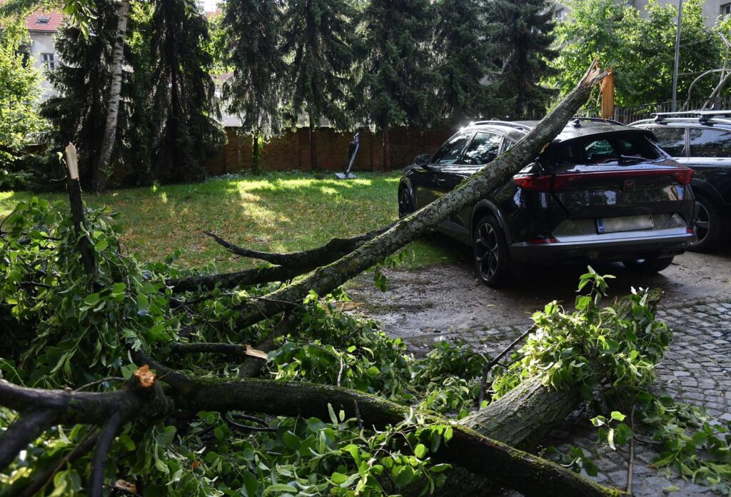 21.07.2023. Zagreb - Posljedice novog nevremena koje je zahvatilo Zagreb.Drvo je palo na auto u dvoristu Likovne akademije Photo: Josip Regovic/PIXSELL
