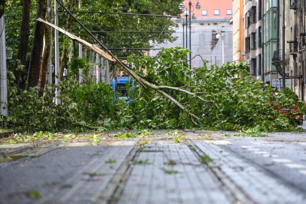 21.07.2023. Zagreb - Novo nevijeme koje je zahvatilo Zagreb rusilo je stabla na Trgu Franje  Tudjmana, grane su pale preko tramvajskih zica te je promet u prekidu. Photo: Josip Regovic/PIXSELL
