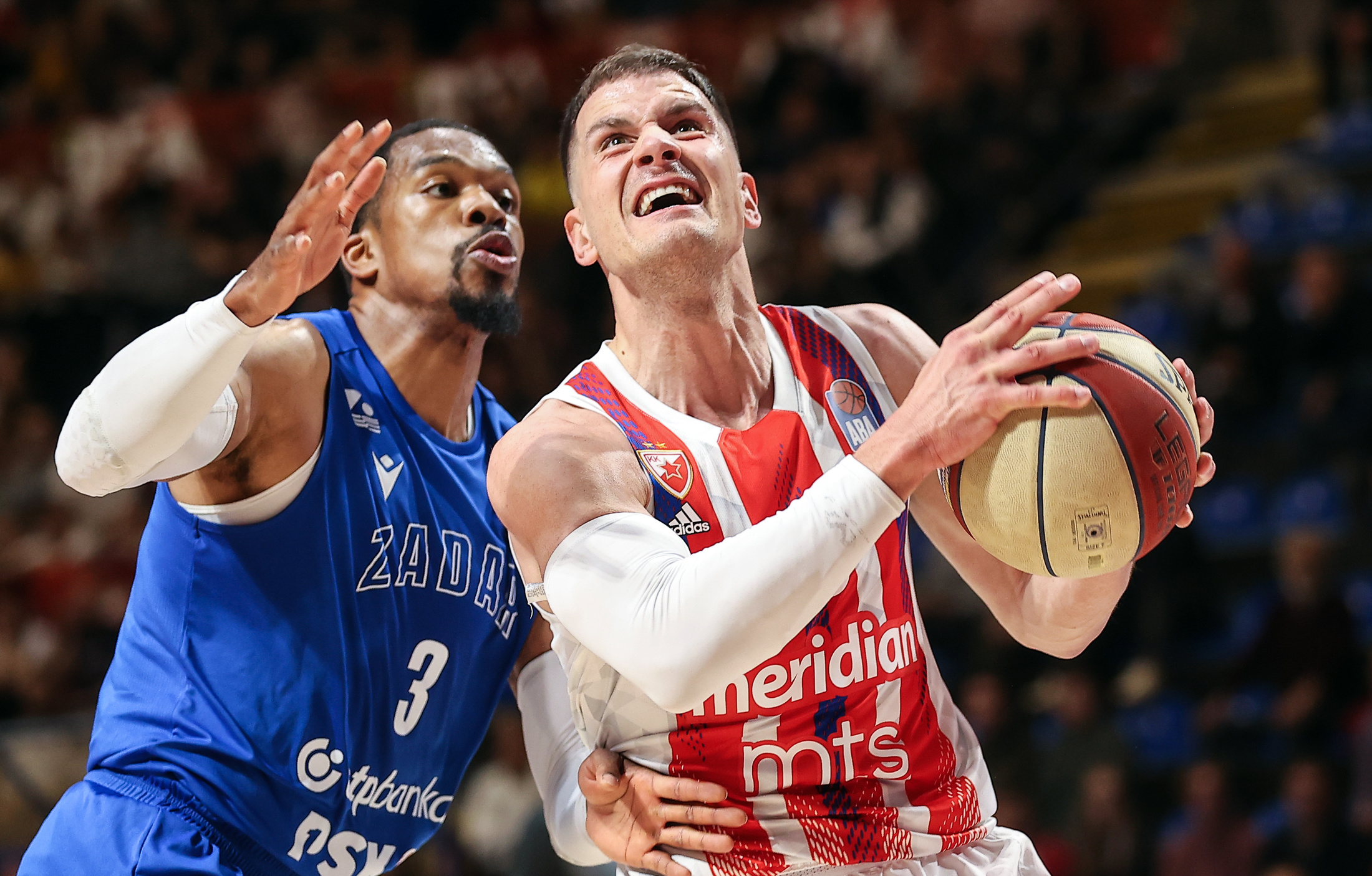 Košarka, Crvena Zvezda, Zadar Foto: Pedja Milosavljevic/STARSPORT