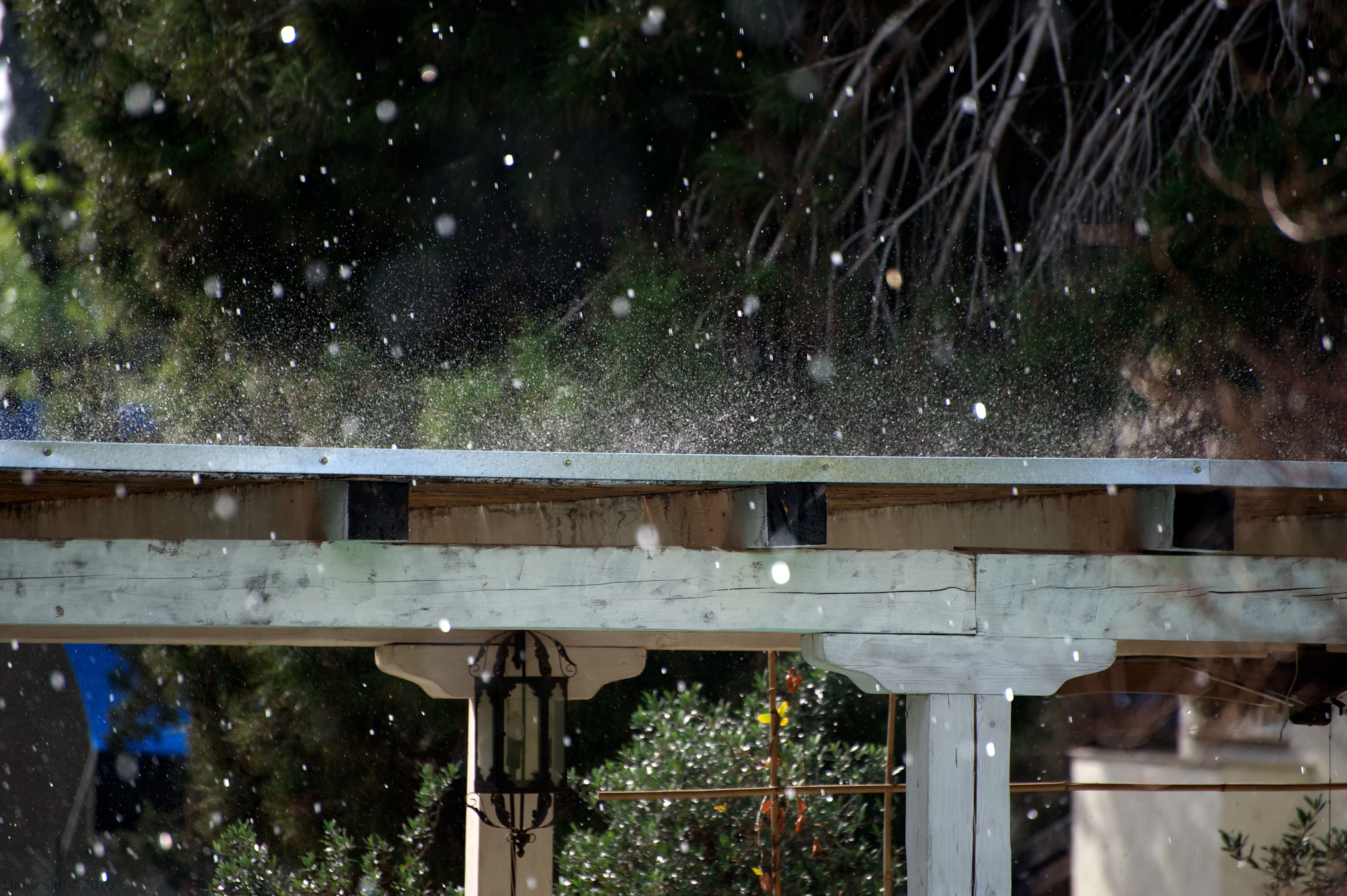 An hail storm, on a winter day in my backyard.,Image: 92835684, License: Royalty-free, Restrictions: , Model Release: no, Credit line: Limor Sidi / Alamy / Alamy / Profimedia