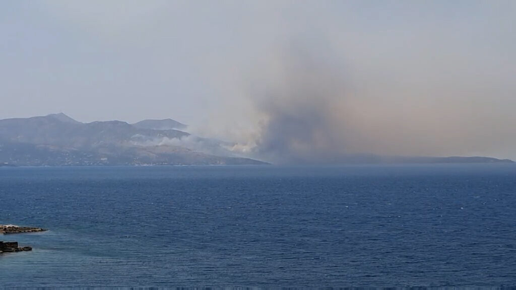 Foto: Printscreen Nova.rs/Video