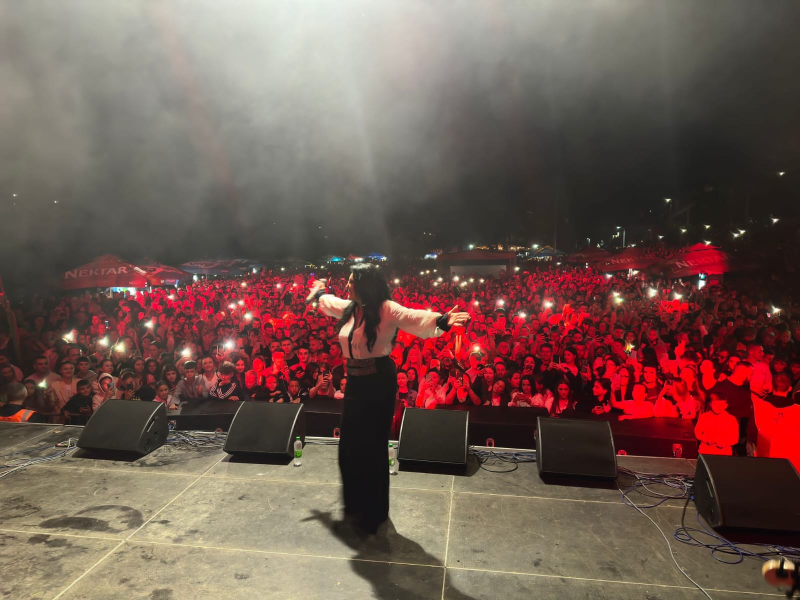 Zvornik, Dragana Mirković, koncert Foto: Dragana Mirković/Privatna arhiva
