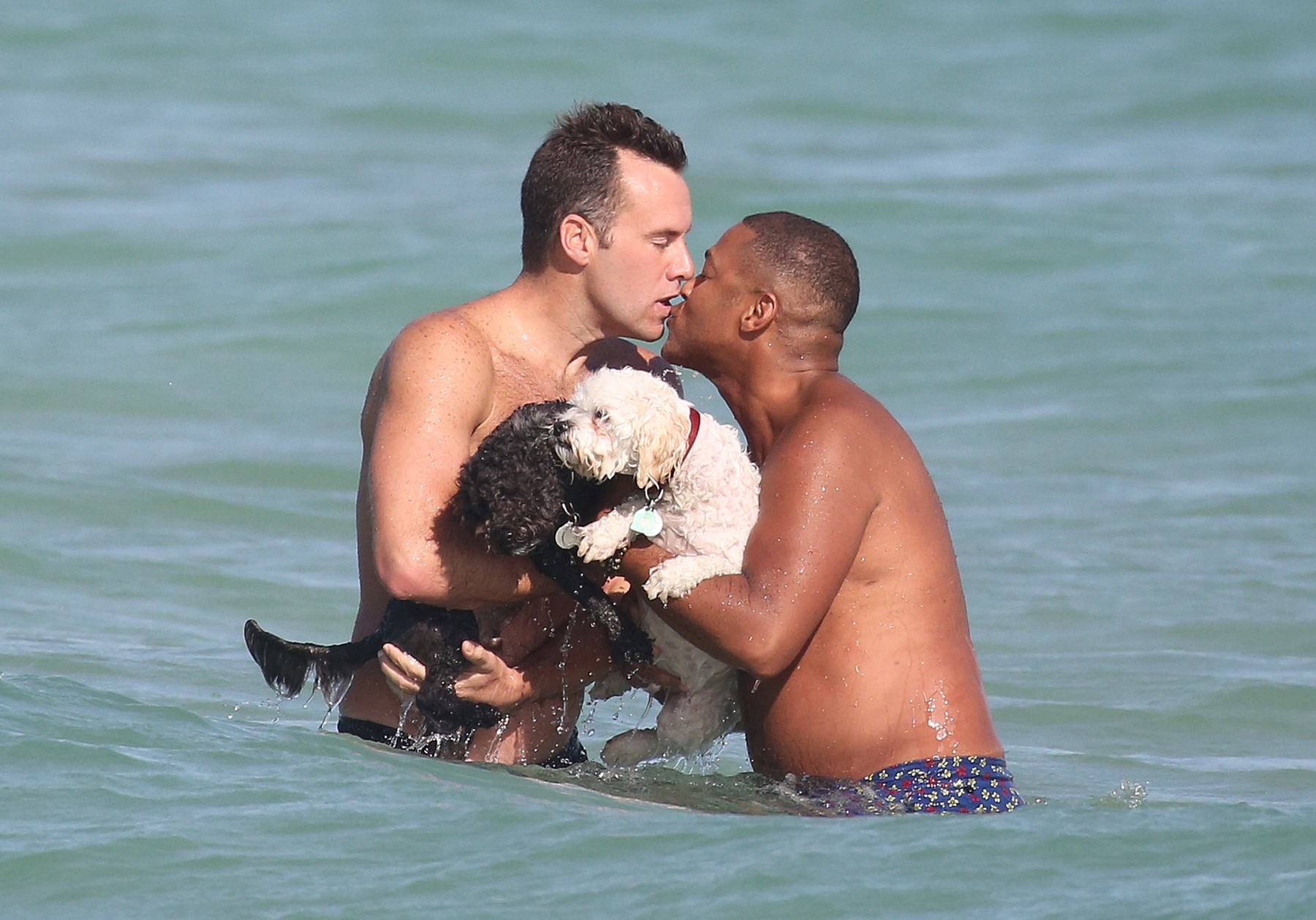 EXCLUSIVE: CNN host Don Lemon and fiancé Tim Malone take their adorable dogs for a swim on the beach in Miami