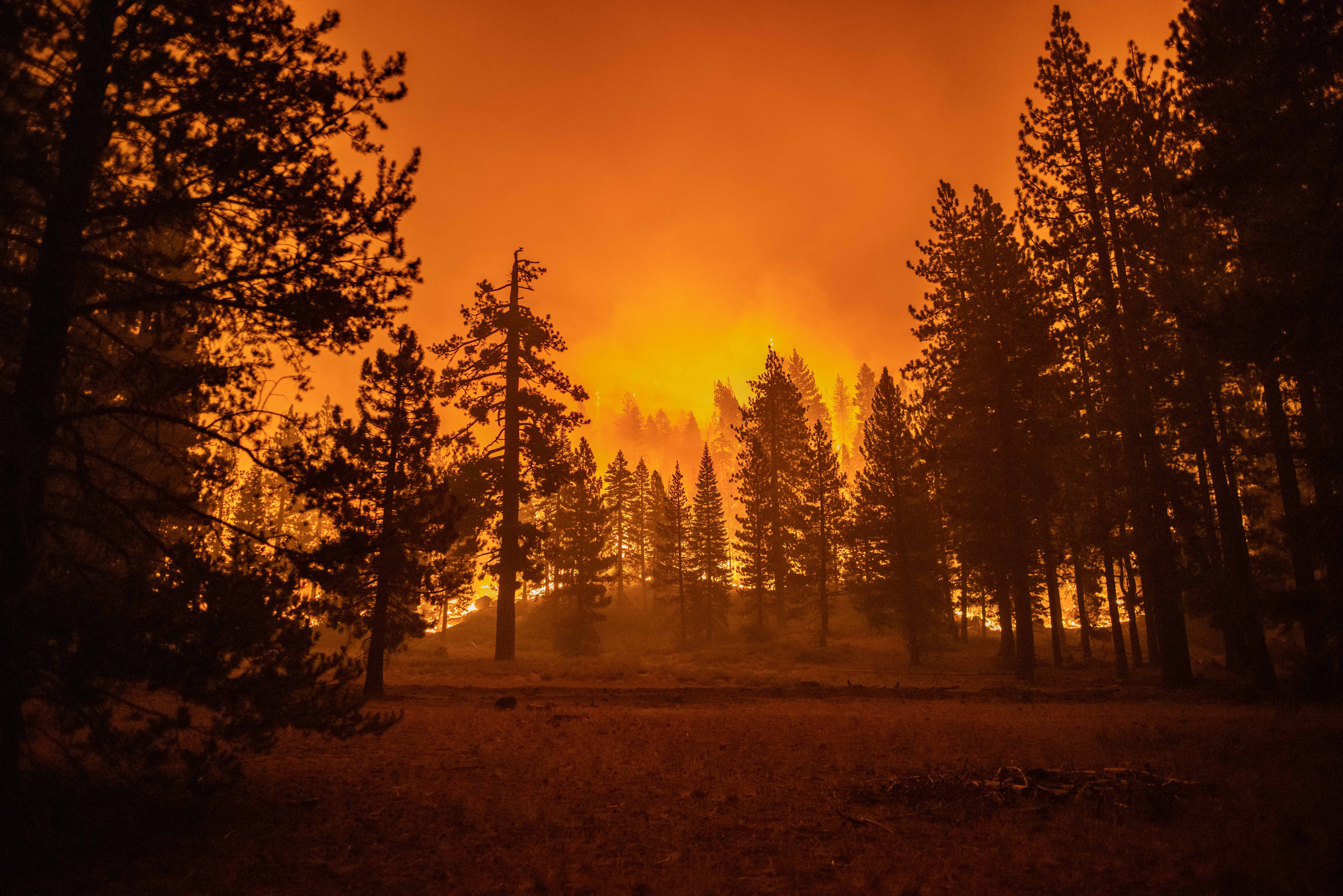 Caldor Fire in California, USA Kalifornija pozar