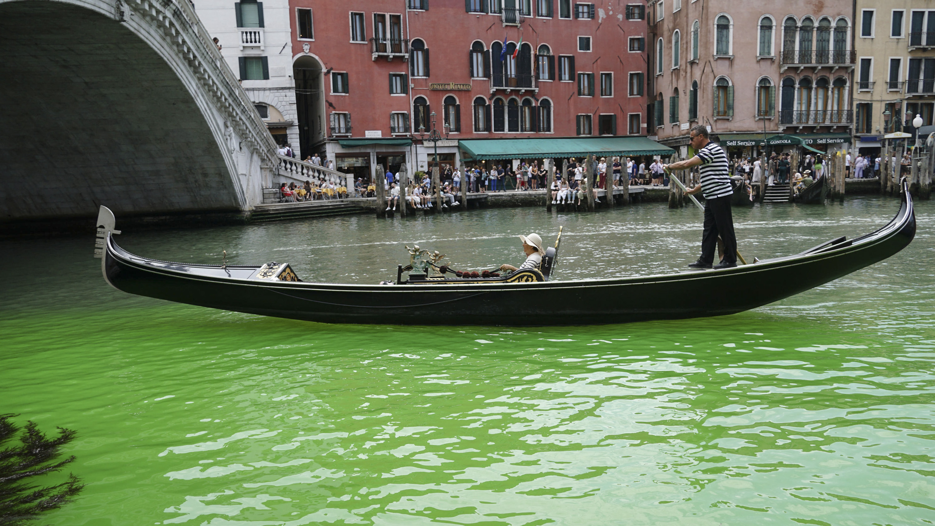 Phosphorescent green patch appears on Grand Canal in Venice