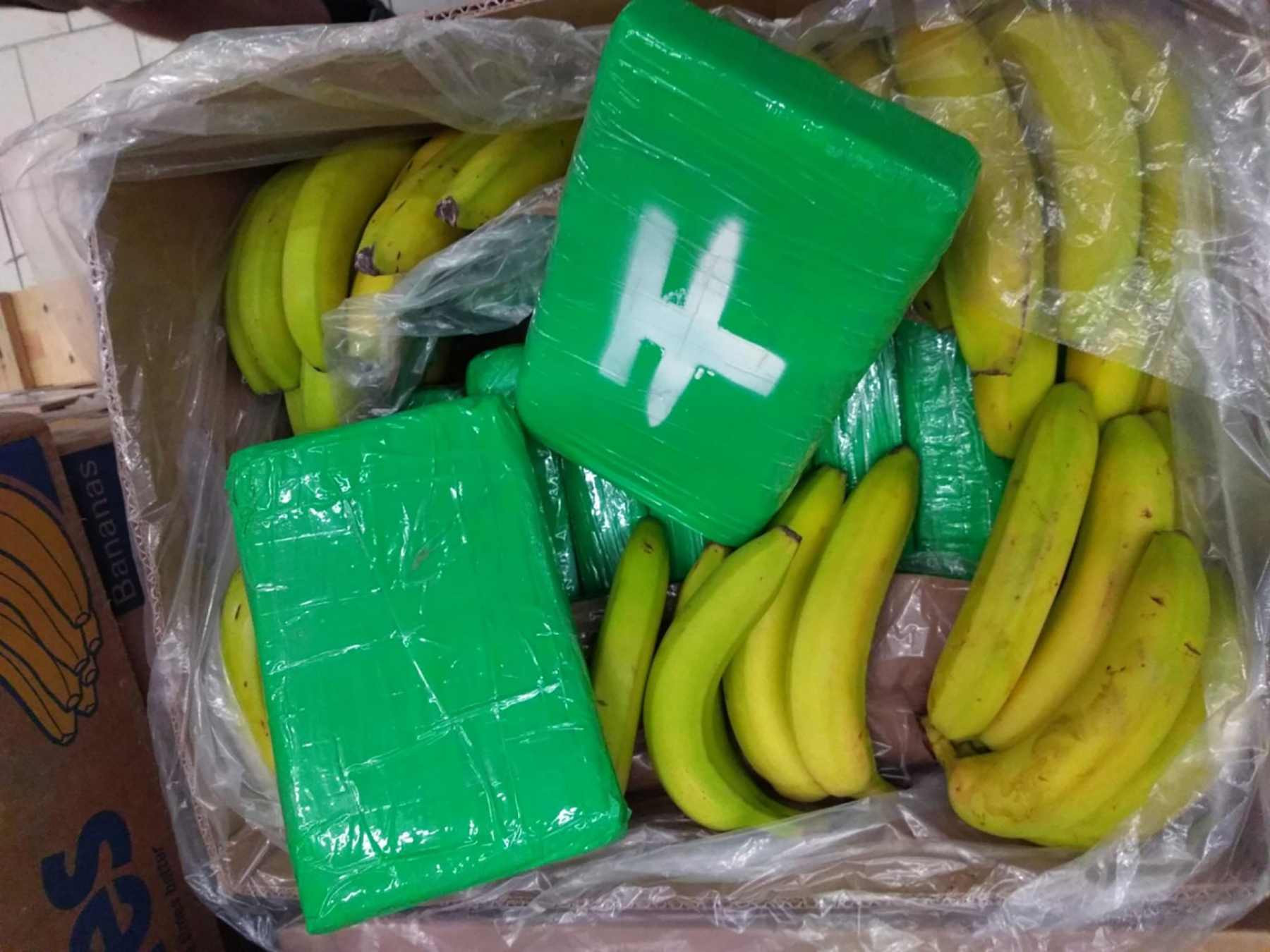 Prodavači u supermarketu među bananama našli pakete s čak 840 kila kokaina, banane kokain, češka policija