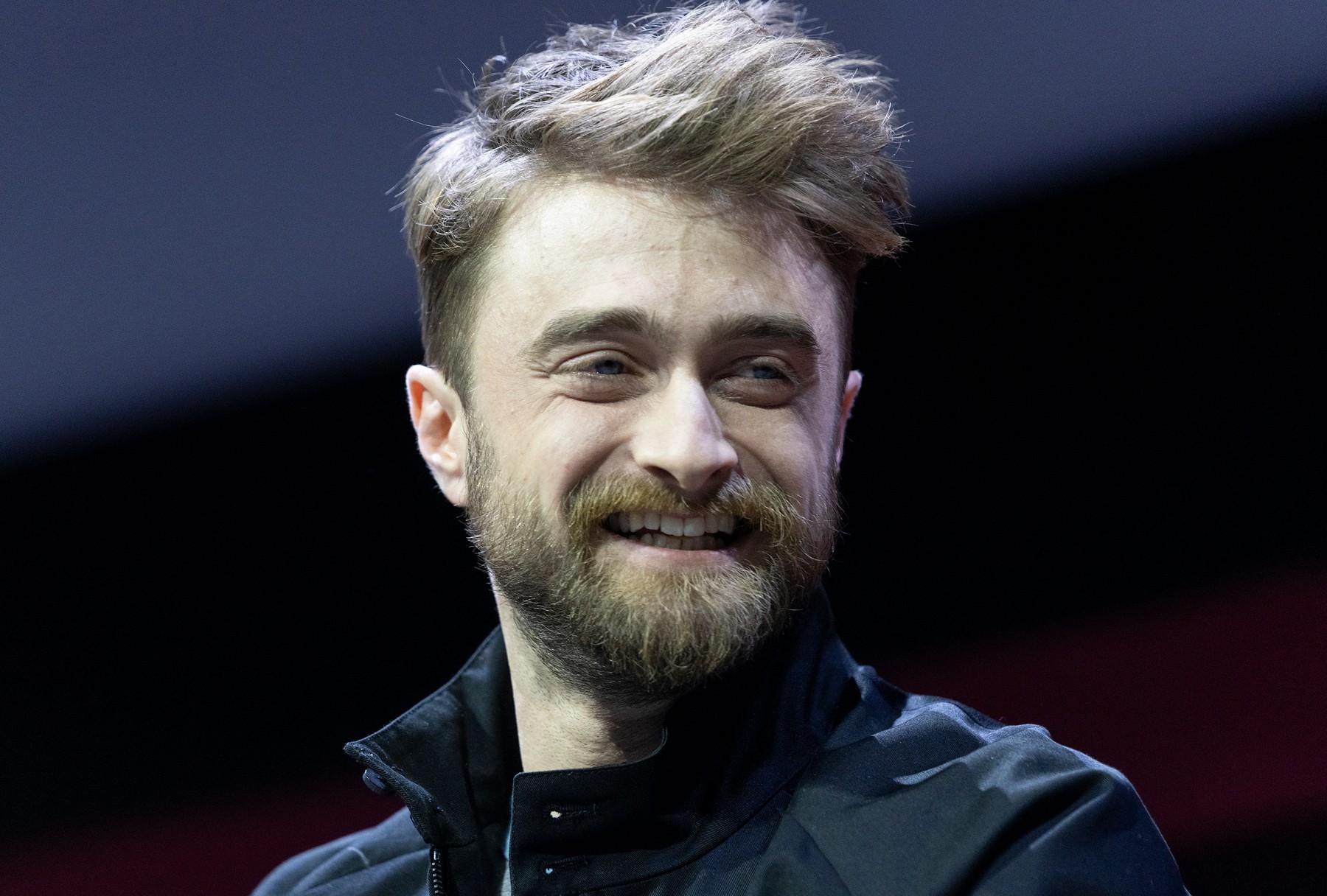 Panel WEIRD: The Al Yankovic Story at New York Comic Con