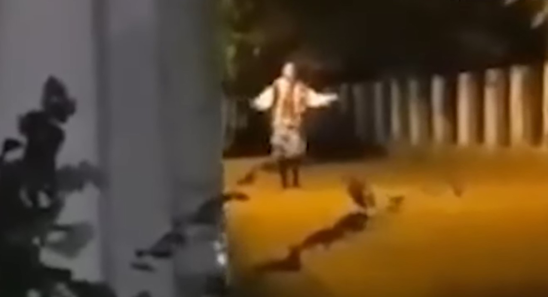 baba duh koji igra kolo