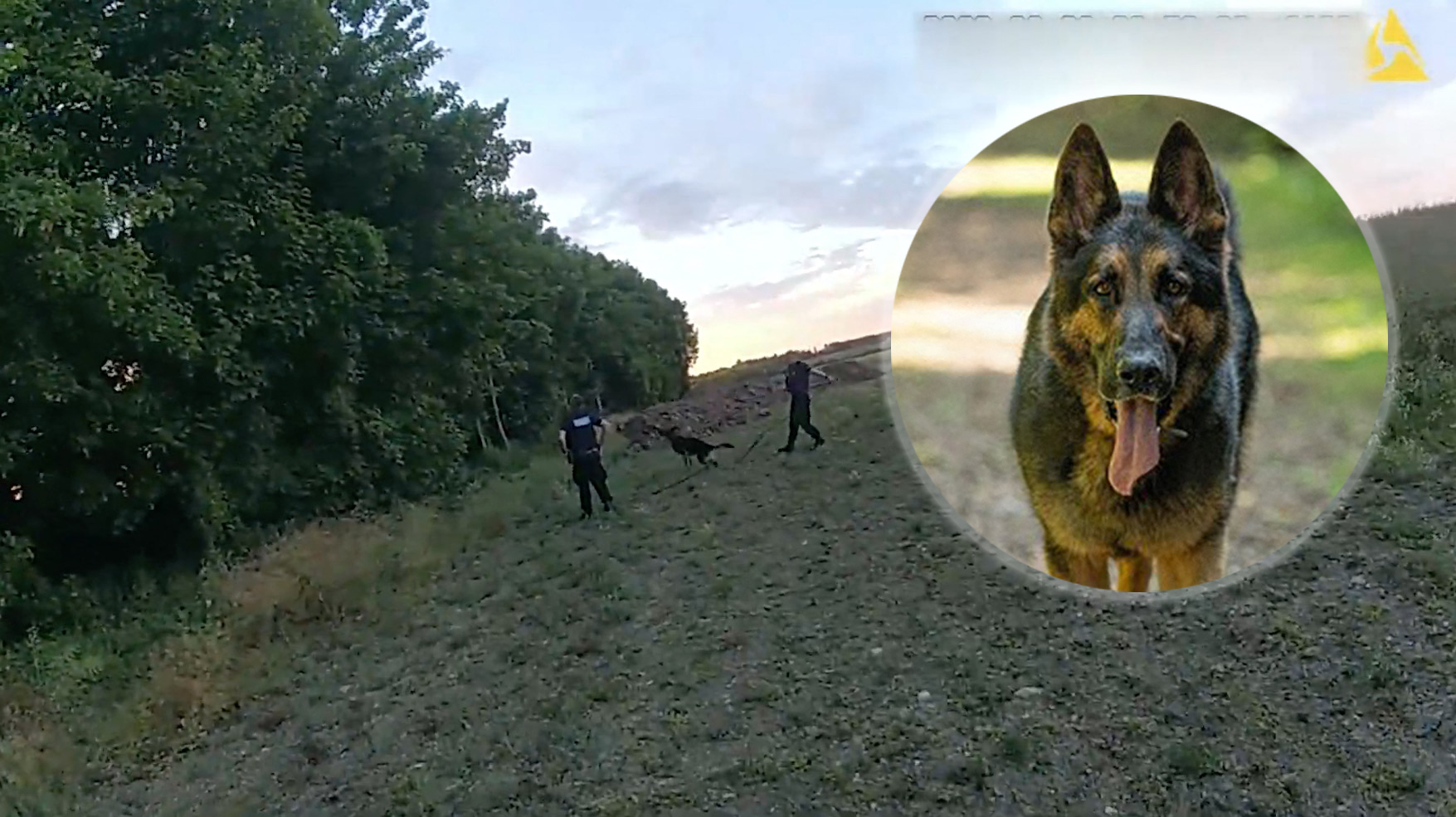 Potera, pas, policija, kombo Foto: Jam Press / MEGA / The Mega Agency / Profimedia