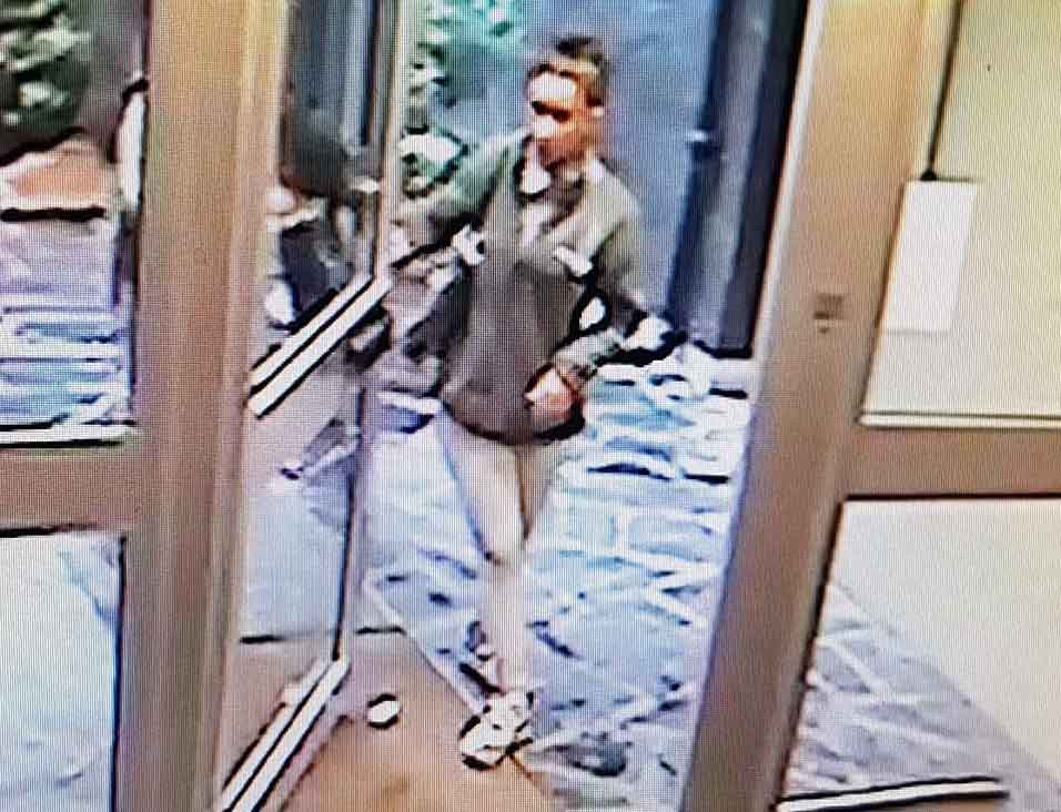 Pariz, ubistvo, devojčica Lola Daviet Foto: Nadzorne kamere