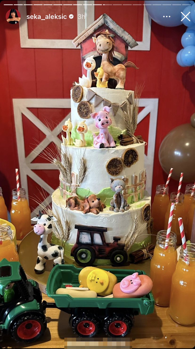 Seka Aleksić Foto: Instagram/seka_aleksic