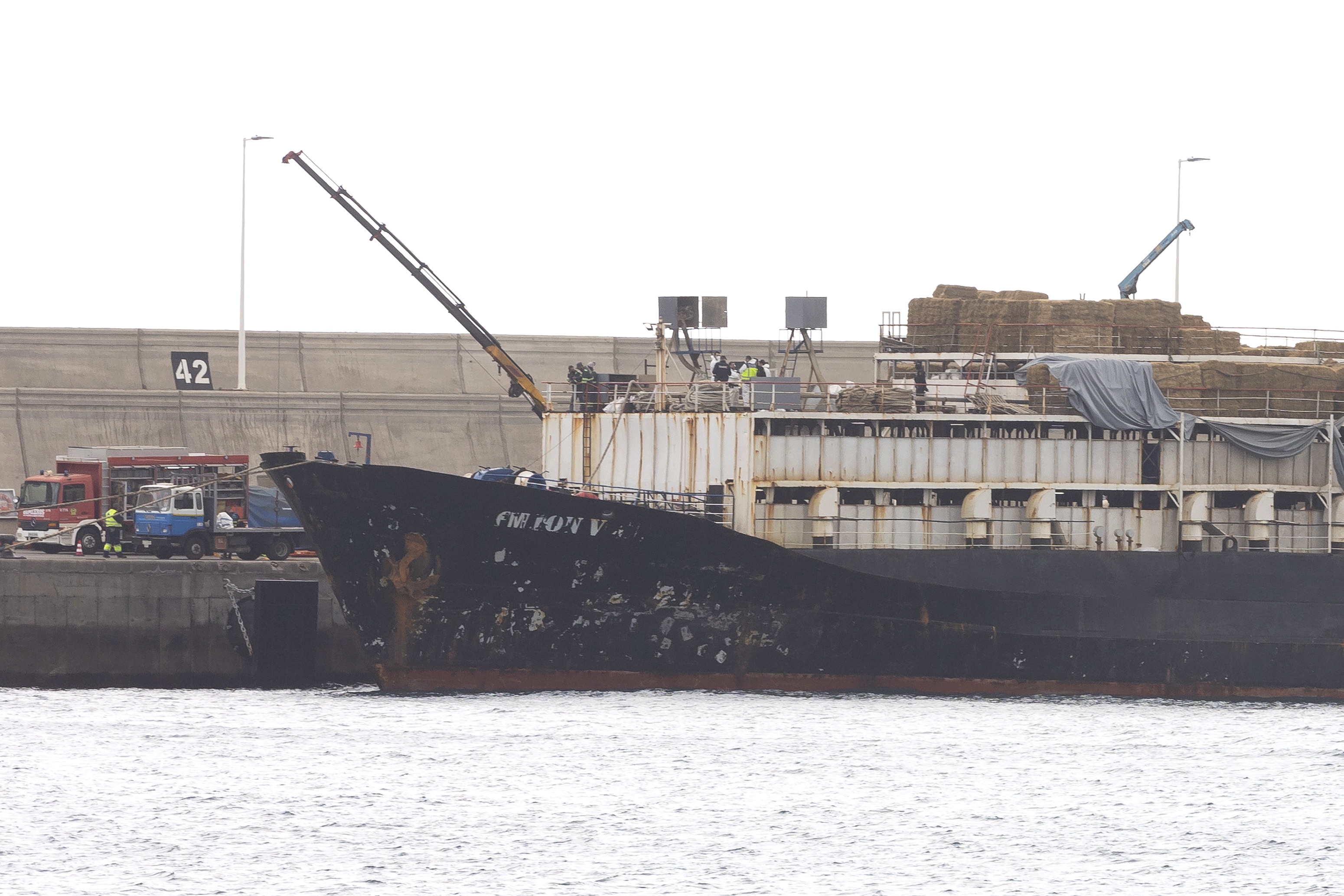 epa10431254 The cargo ship 'Orion V' is docked in Las Palmas port as policemen and customs officers search the ship under a suspect of it carries four tons of cocaine, Gran Canaria island, southwestern Spain, 26 January 2023.  EPA-EFE/Quique Curbelo