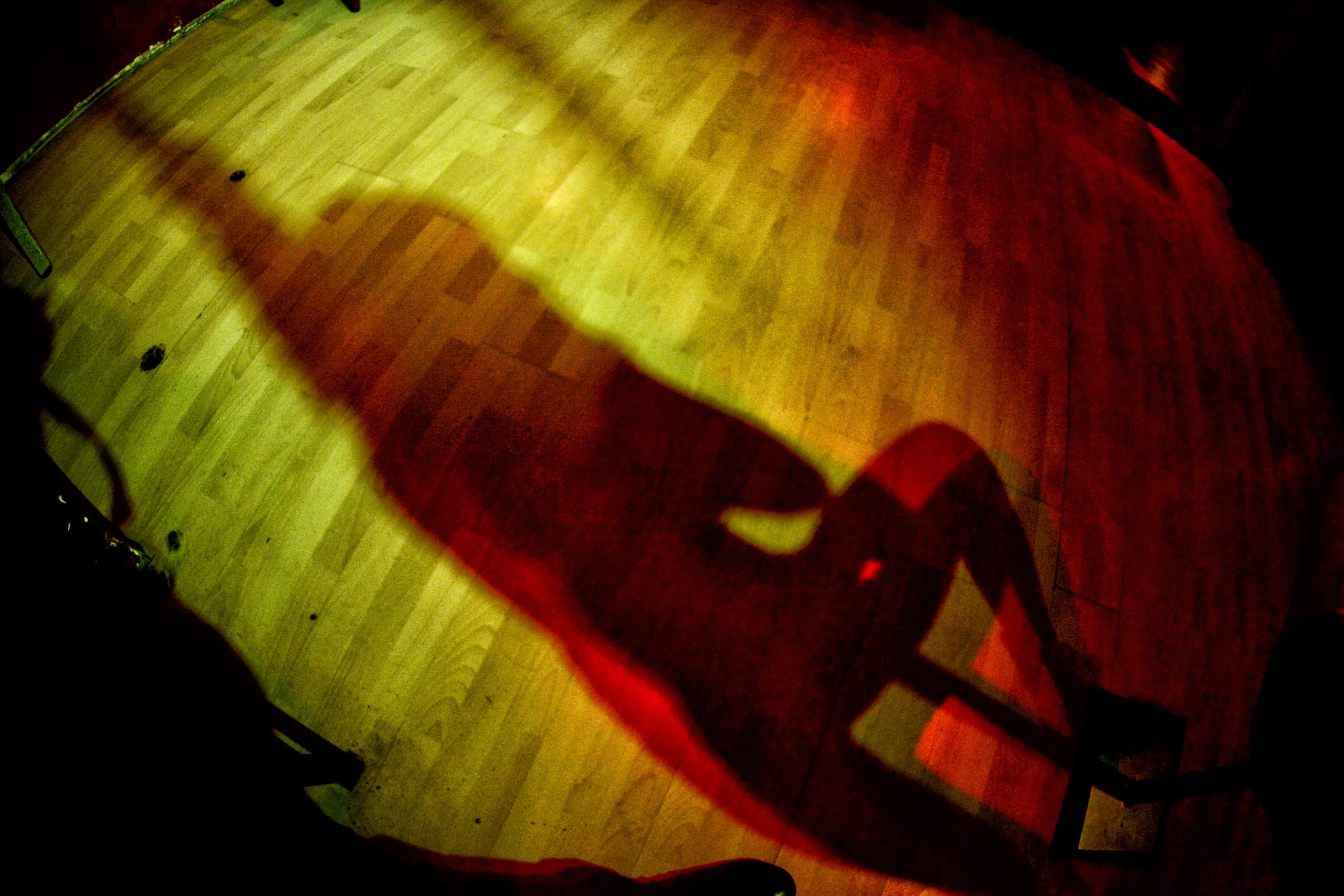 Beograd Striptiz ples oko šipke, pole dance, seks, prostitucija Foto: Nemanja Jovanović