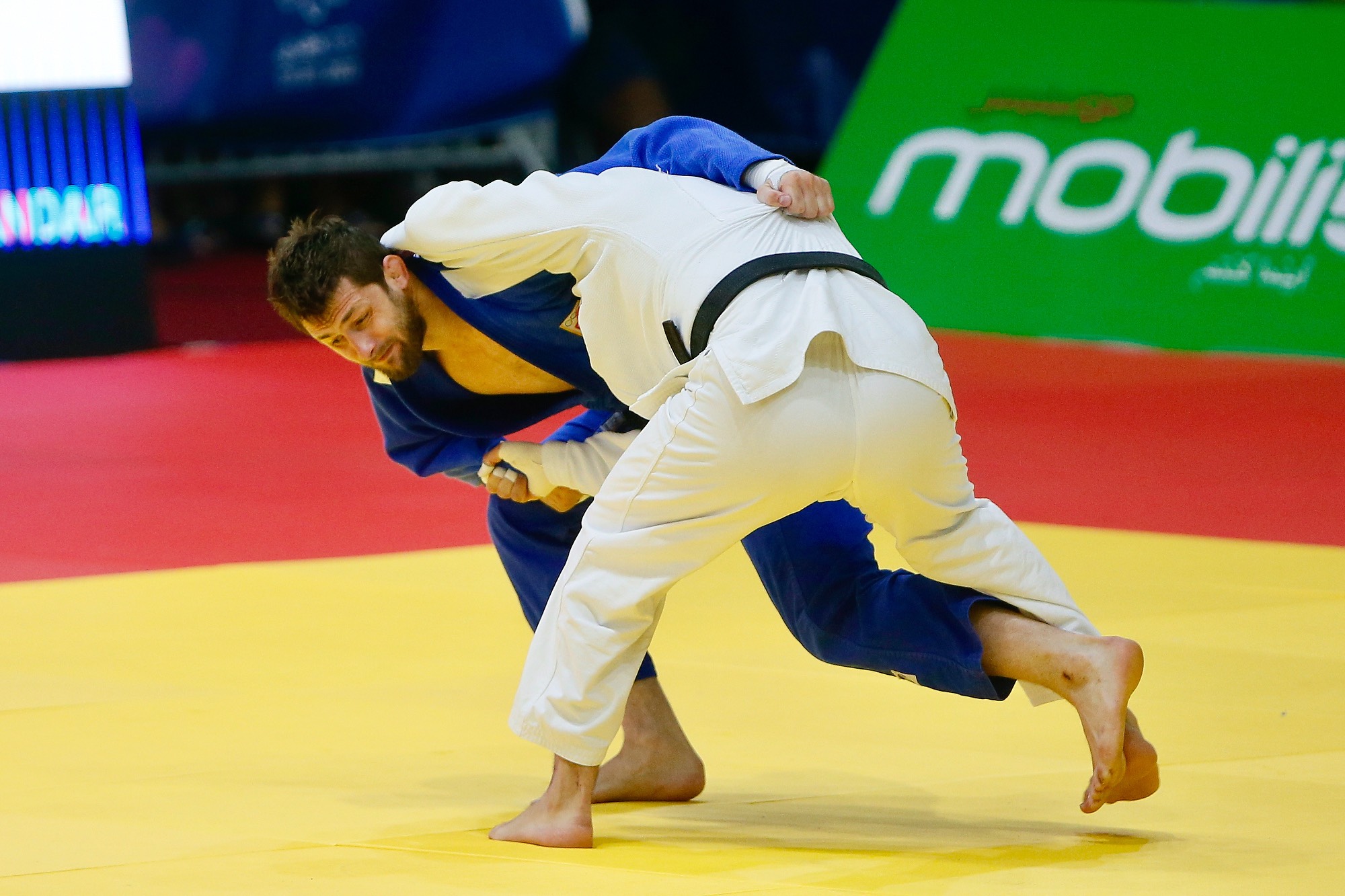 Aleksandar Kukolj, borba