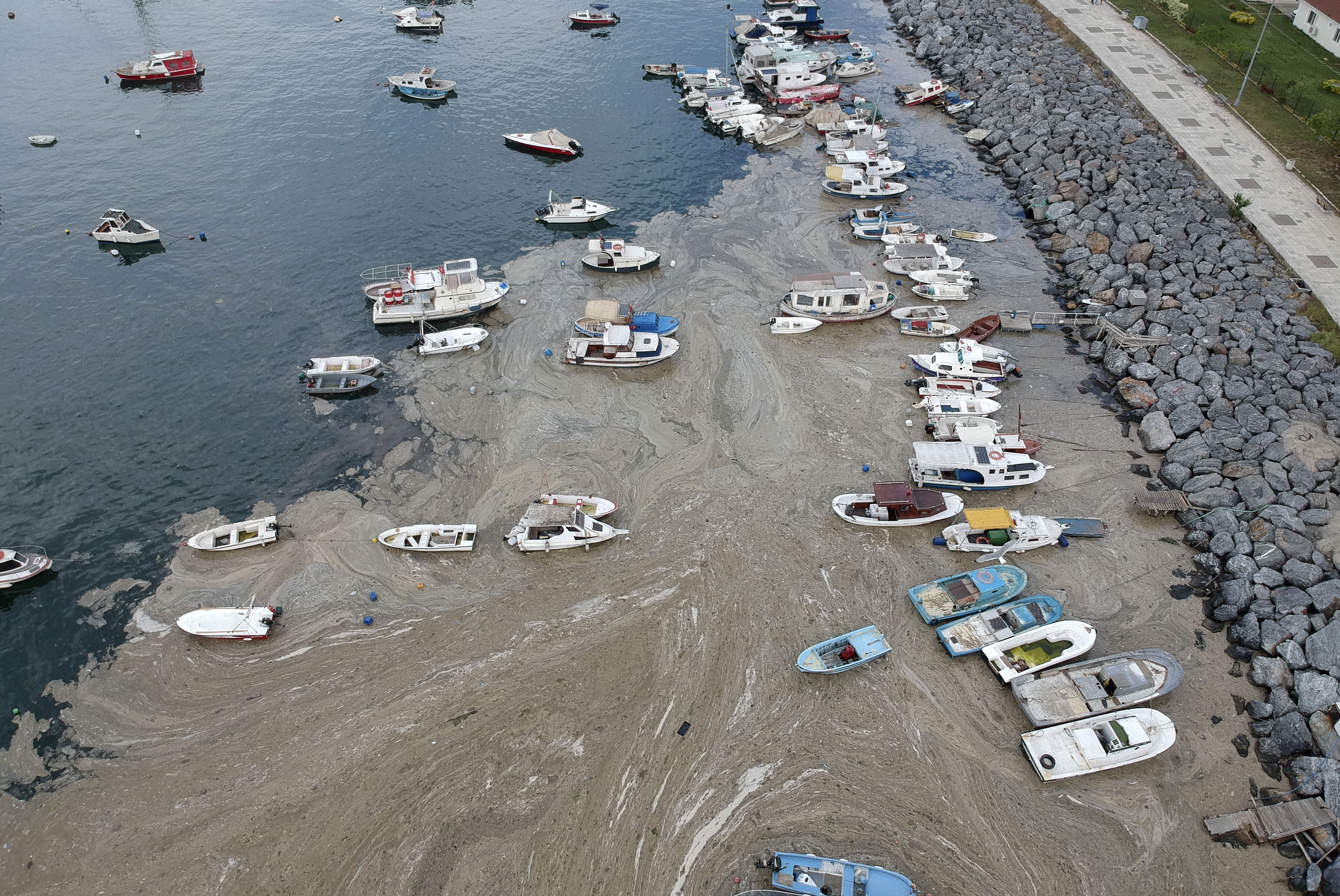 Turkey Environment
