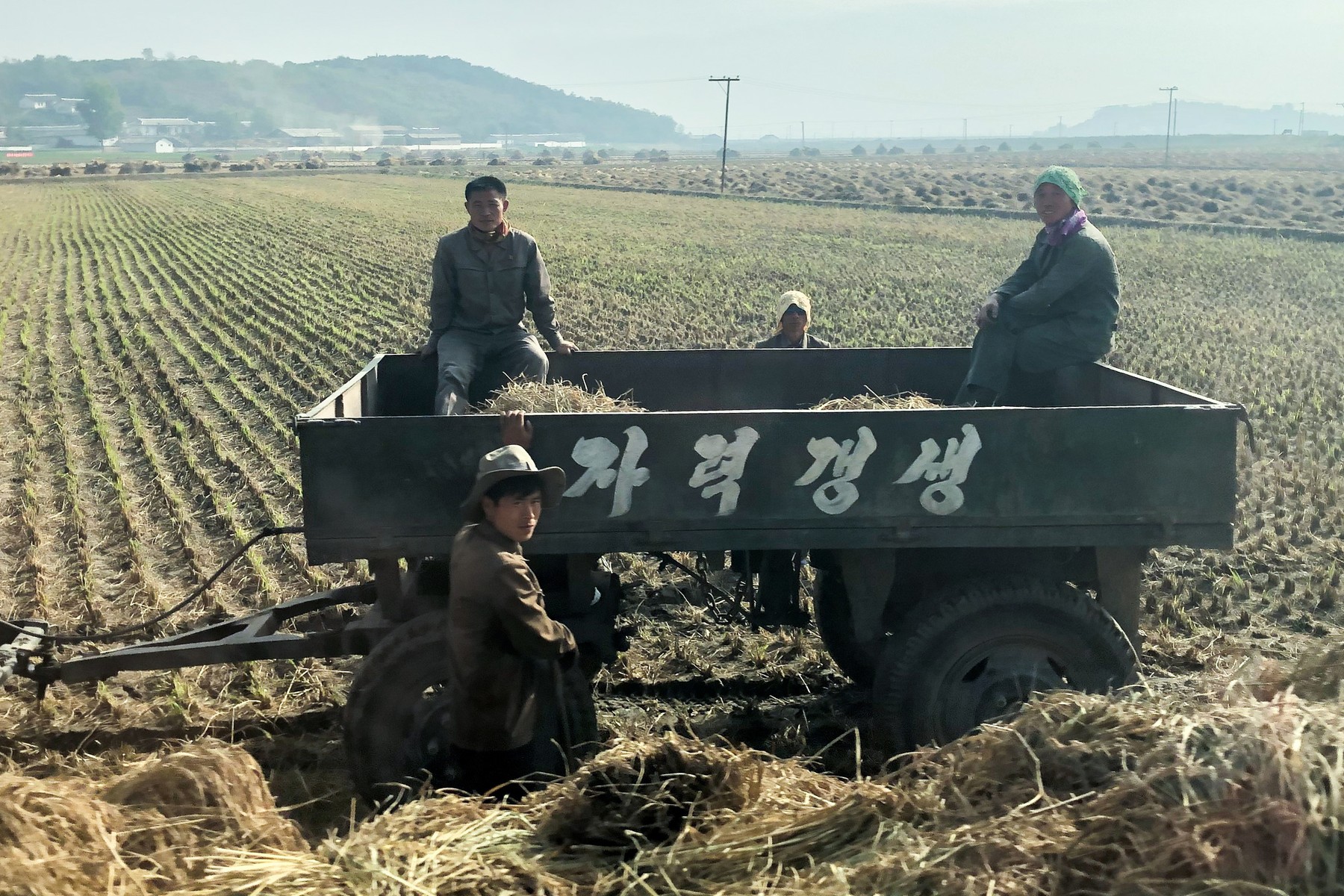 North Korea: Harvesting crops in North Korea Severna Koreja hrana