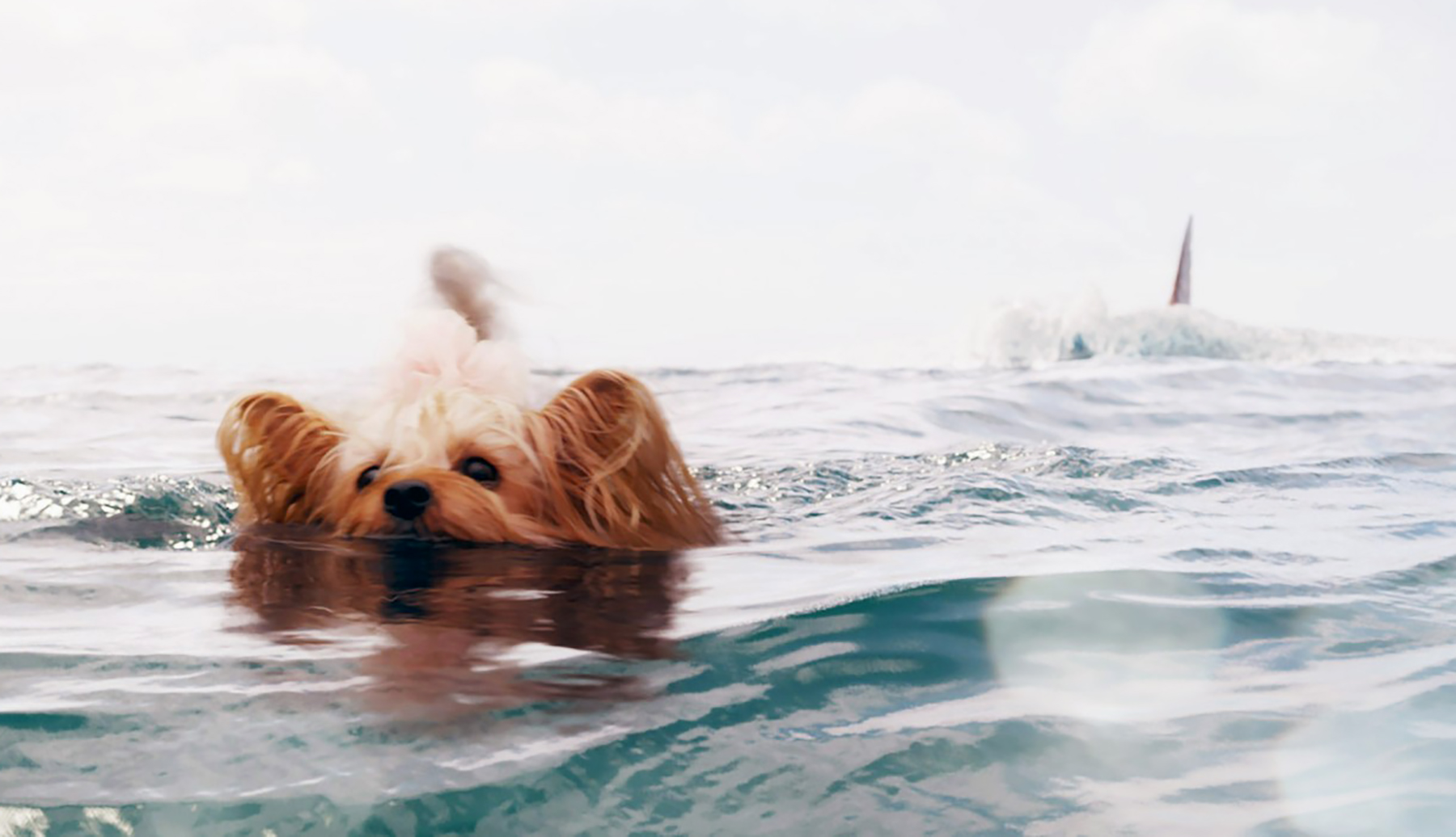 THE MEG, 2018. /,Image: 381523268, License: Rights-managed, Restrictions: , Model Release: no, Credit line: Warner Bros / Everett / Profimedia
