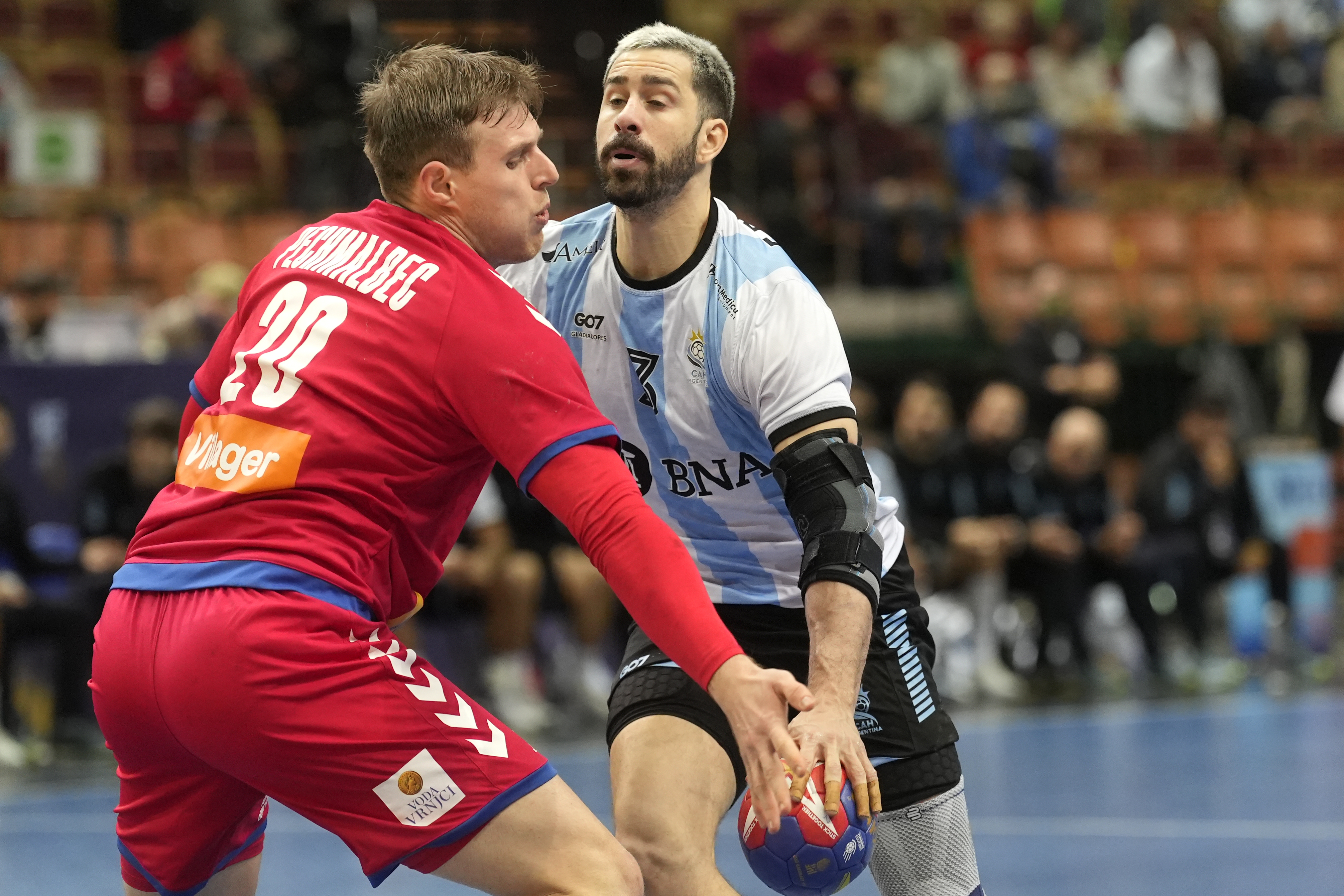 Poland Handball World Championship