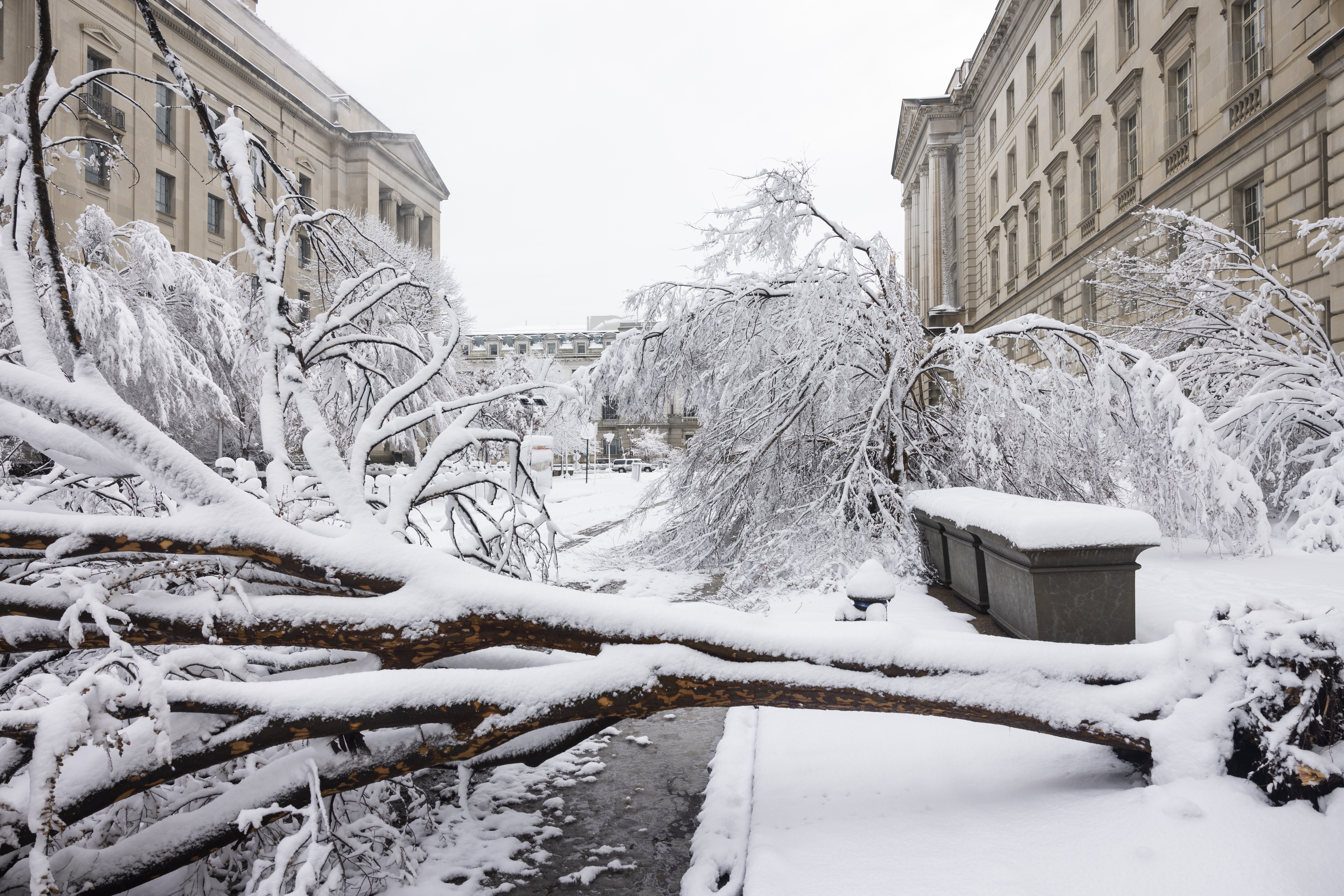 Snowstorm in DC