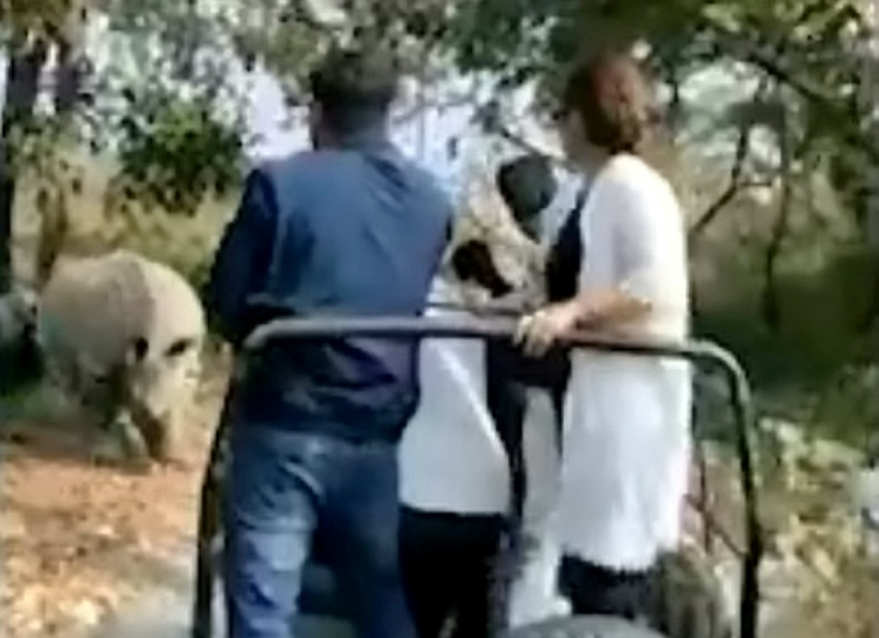 profimedia-0759076036