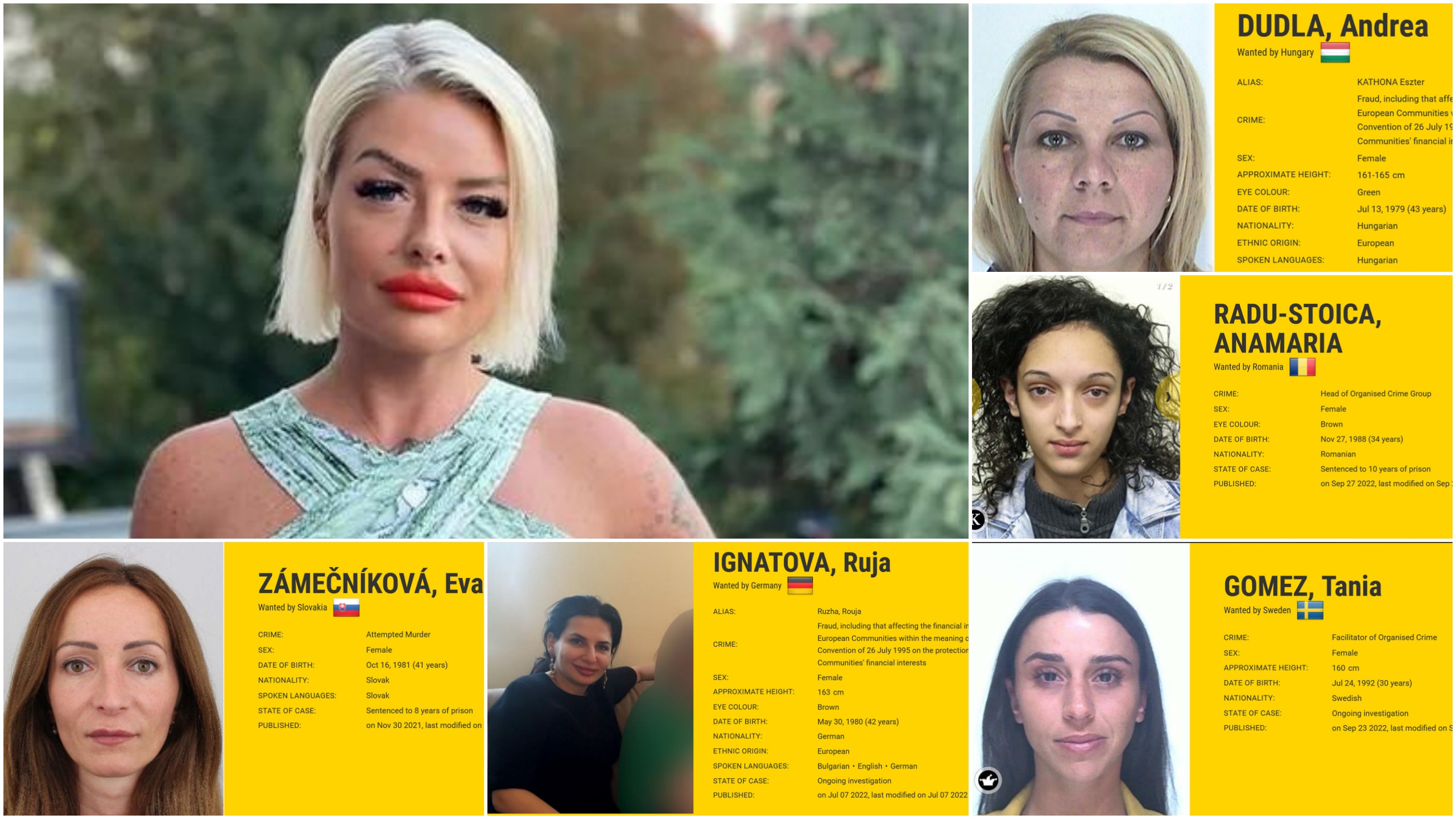 Mirnesa, Andrea Dudla, Anamaria Radu Stoica, Tania Gomez, Ruja Ignatova, Eva Zamečnikova, kombo Foto: Instagram/Europol