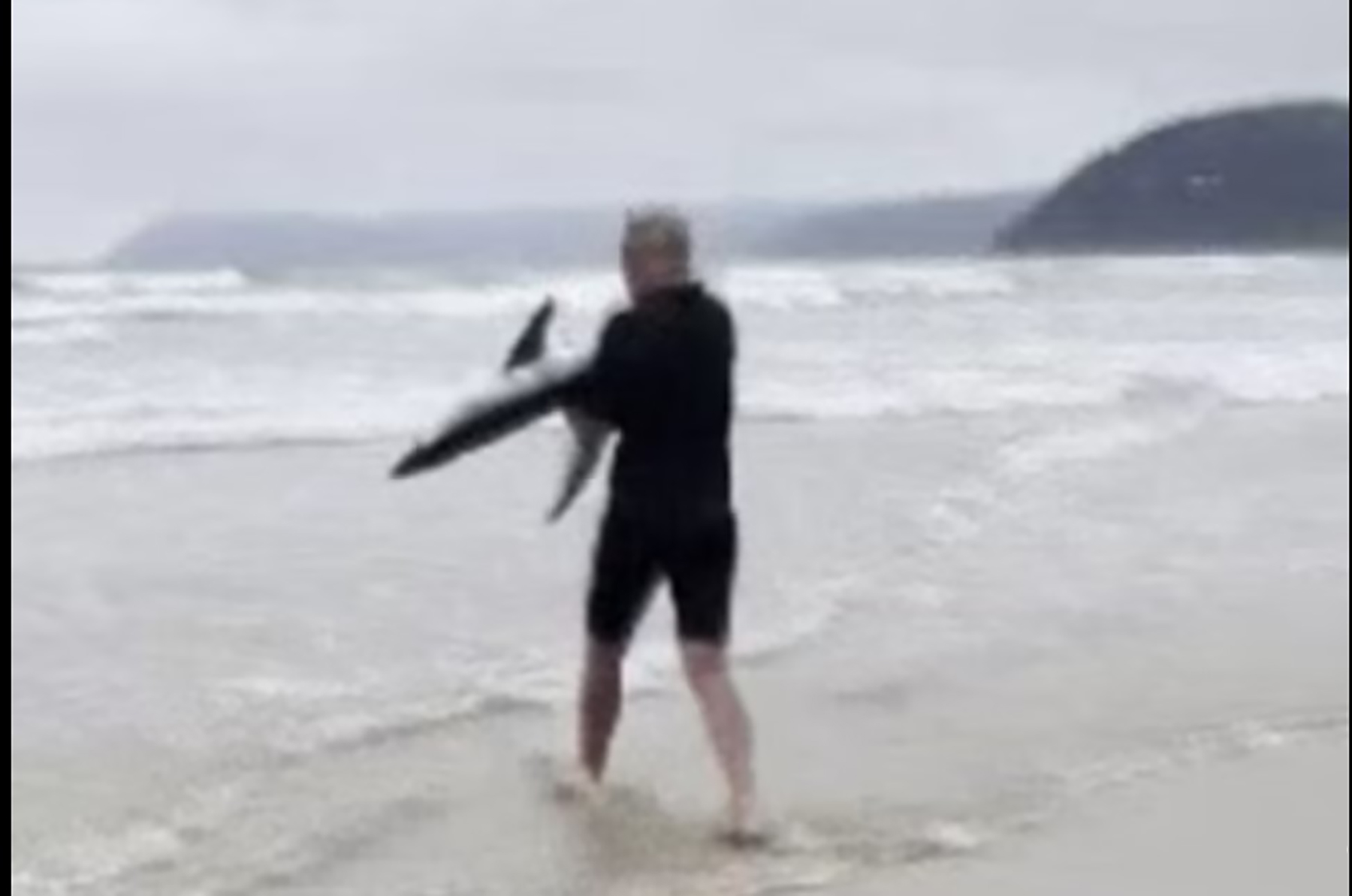 Surfer Paul Myles (pictured) made the very brave decision to pick up a stranded shark and carry the creature back into the surf
