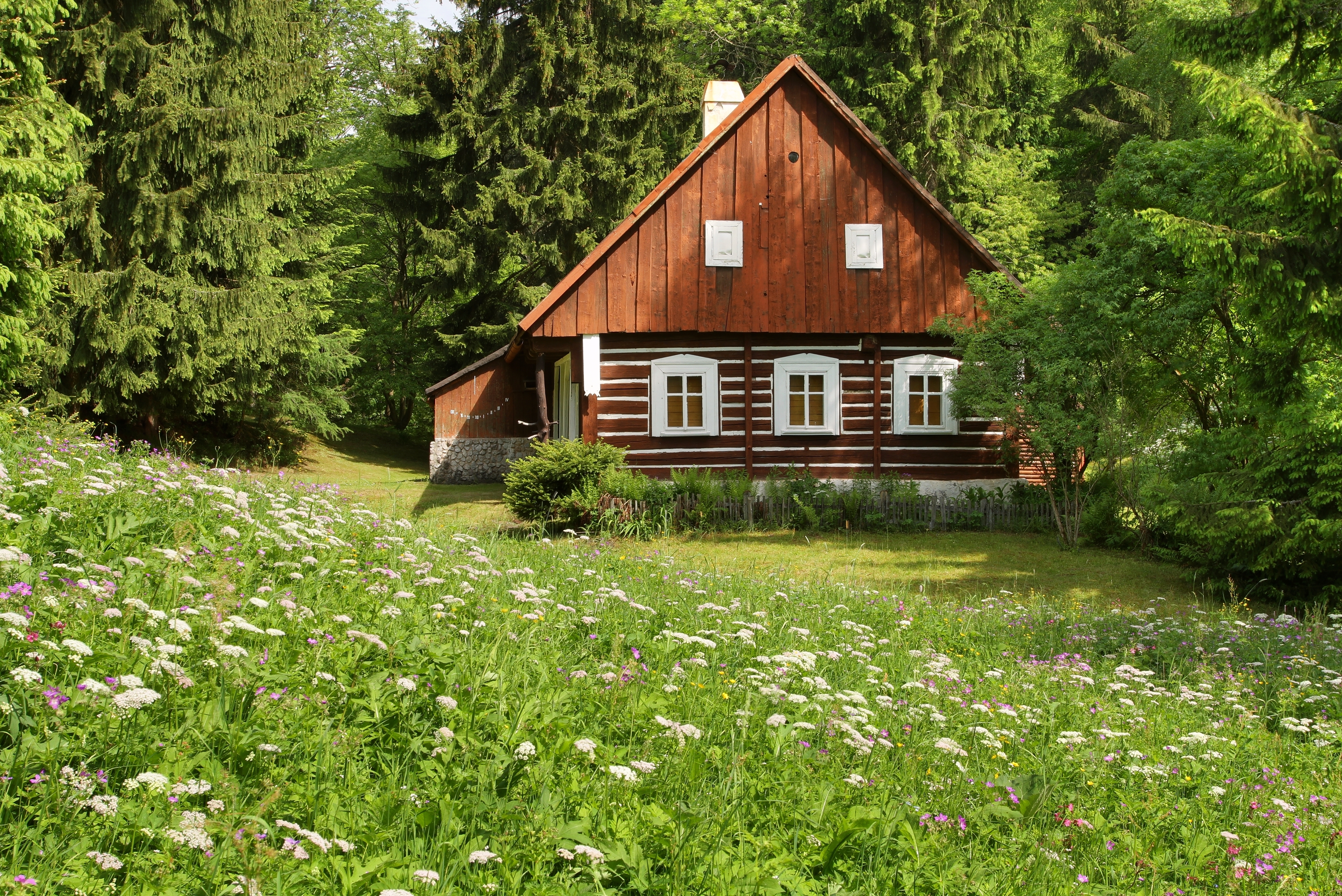 Probudi se Drvena kuća u šumarku traženija od stana u centru Beograda. Da li je korona pomrsila konce na tržištu nekretnina