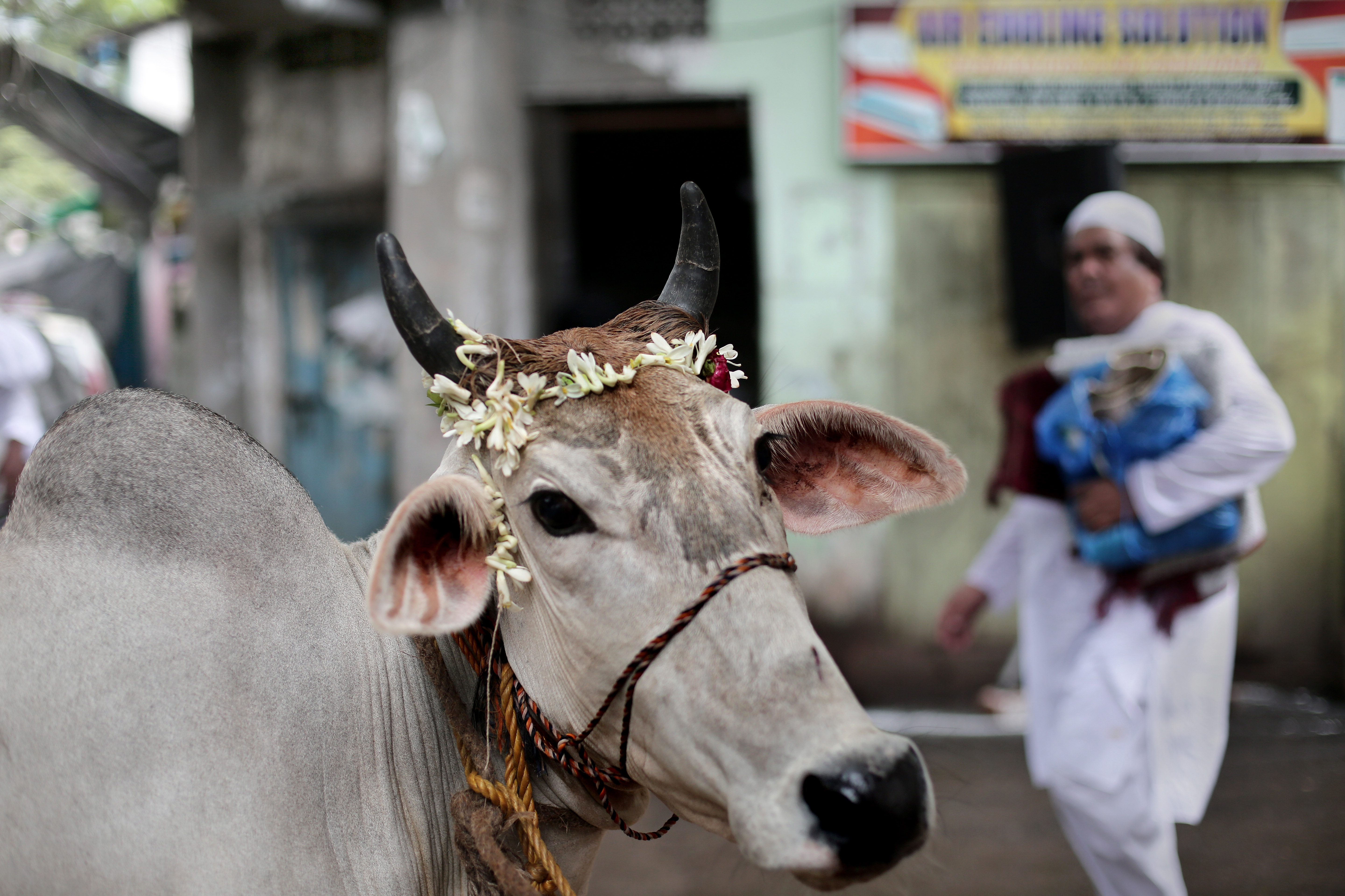 Eid Al-Adha celebrations in Kolkata