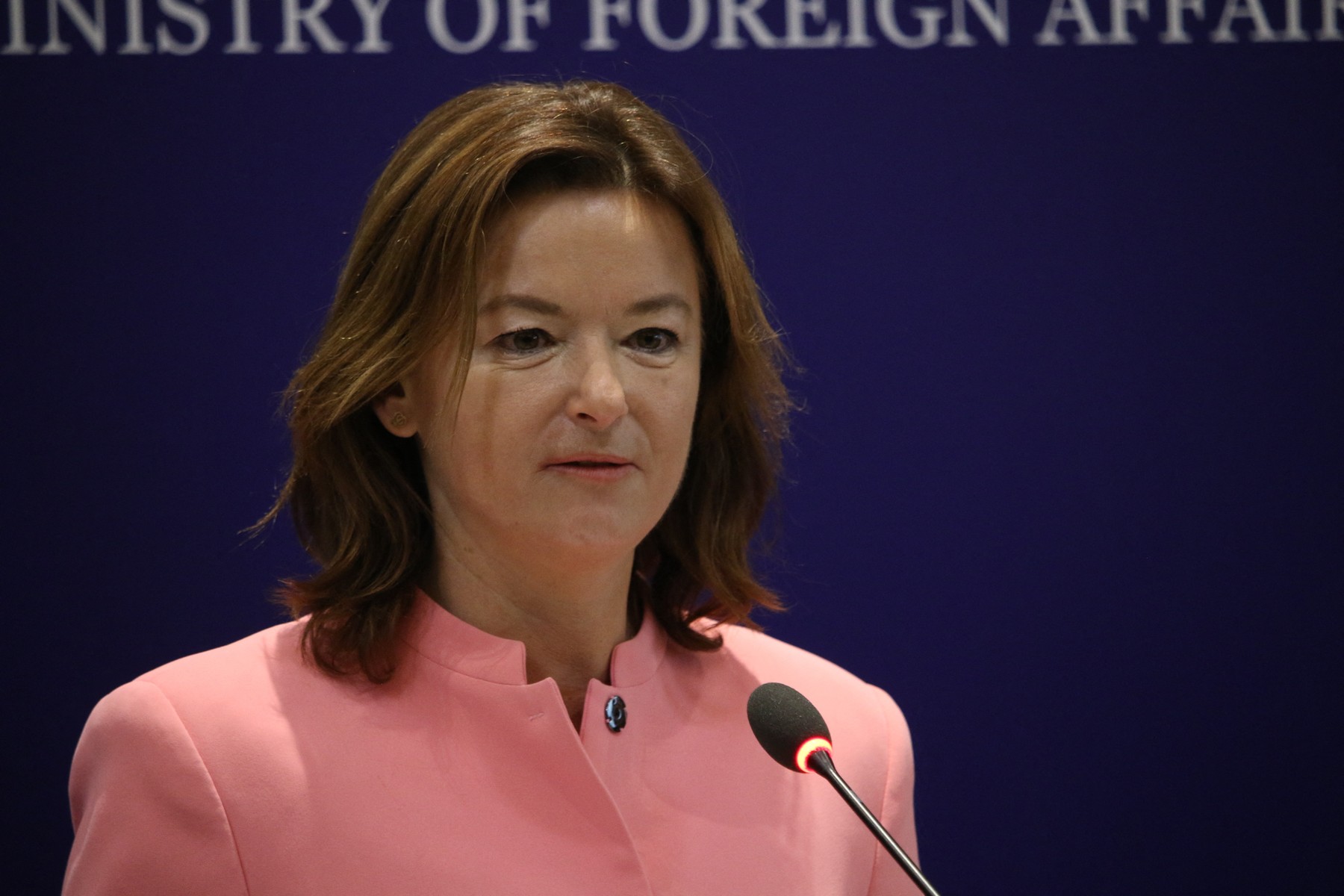 Tanja Fajon - Donika Gervalla-Schwarz joint meeting in Kosovo