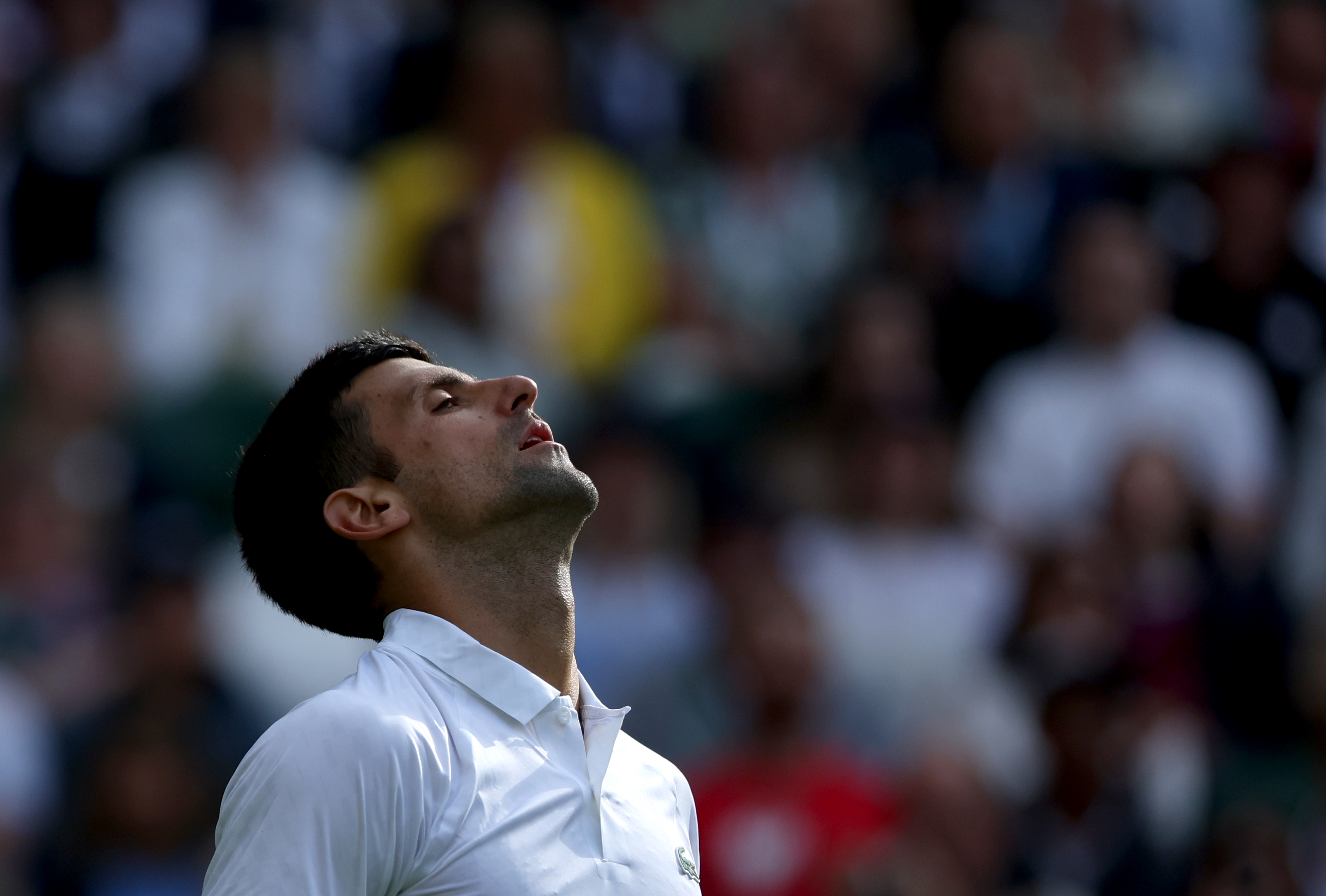 epa10728141 Novak Djokovic of Serbia reacts as he plays Jordan Thompson of Australia in their Men's Singles 2nd round match at the Wimbledon Championships, Wimbledon, Britain, 05 July 2023.  EPA-EFE/NEIL HALL   EDITORIAL USE ONLY  EDITORIAL USE ONLY