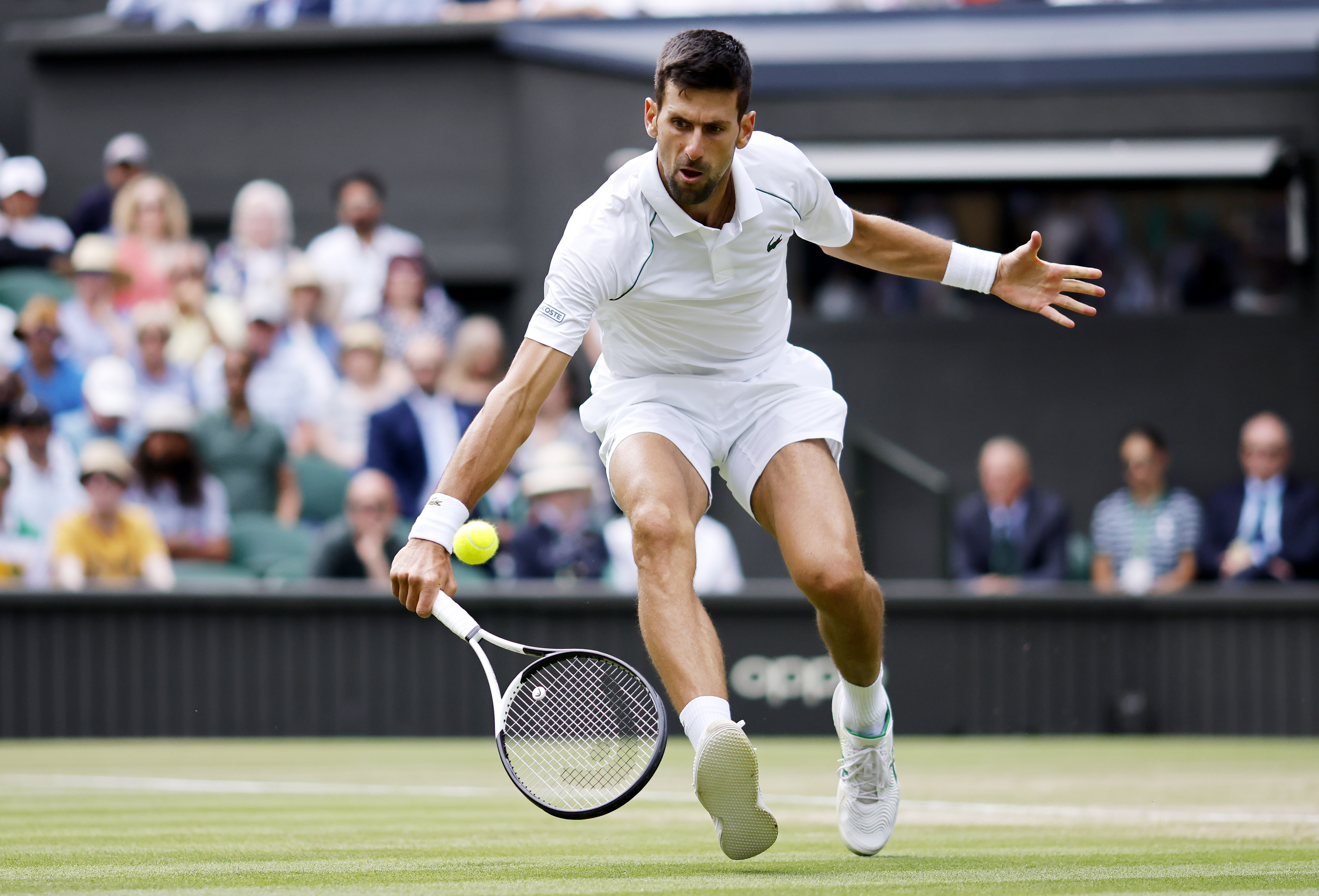 epa10053516 Novak Djokovic of Serbia in action in the men's quarter final match against Jannik Sinner of Italy at the Wimbledon Championships, in Wimbledon, Britain, 05 July 2022.  EPA-EFE/TOLGA AKMEN   EDITORIAL USE ONLY