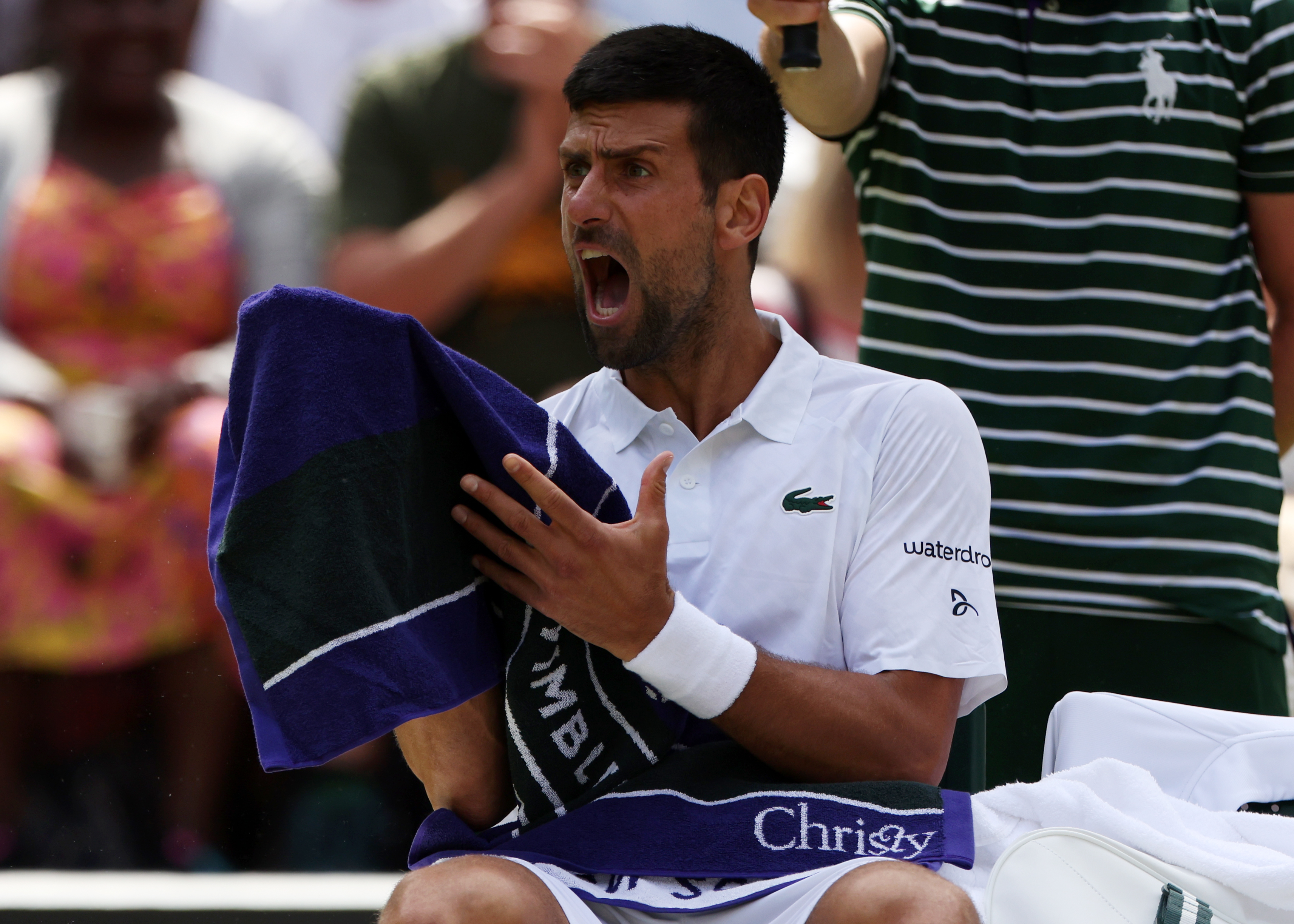 epa10737834 Novak Djokovic of Serbia yells during his Men's Singles 4th round match against Hubert Hurcacz of Poland at the Wimbledon Championships, Wimbledon, Britain, 10 July 2023.  EPA-EFE/NEIL HALL   EDITORIAL USE ONLY