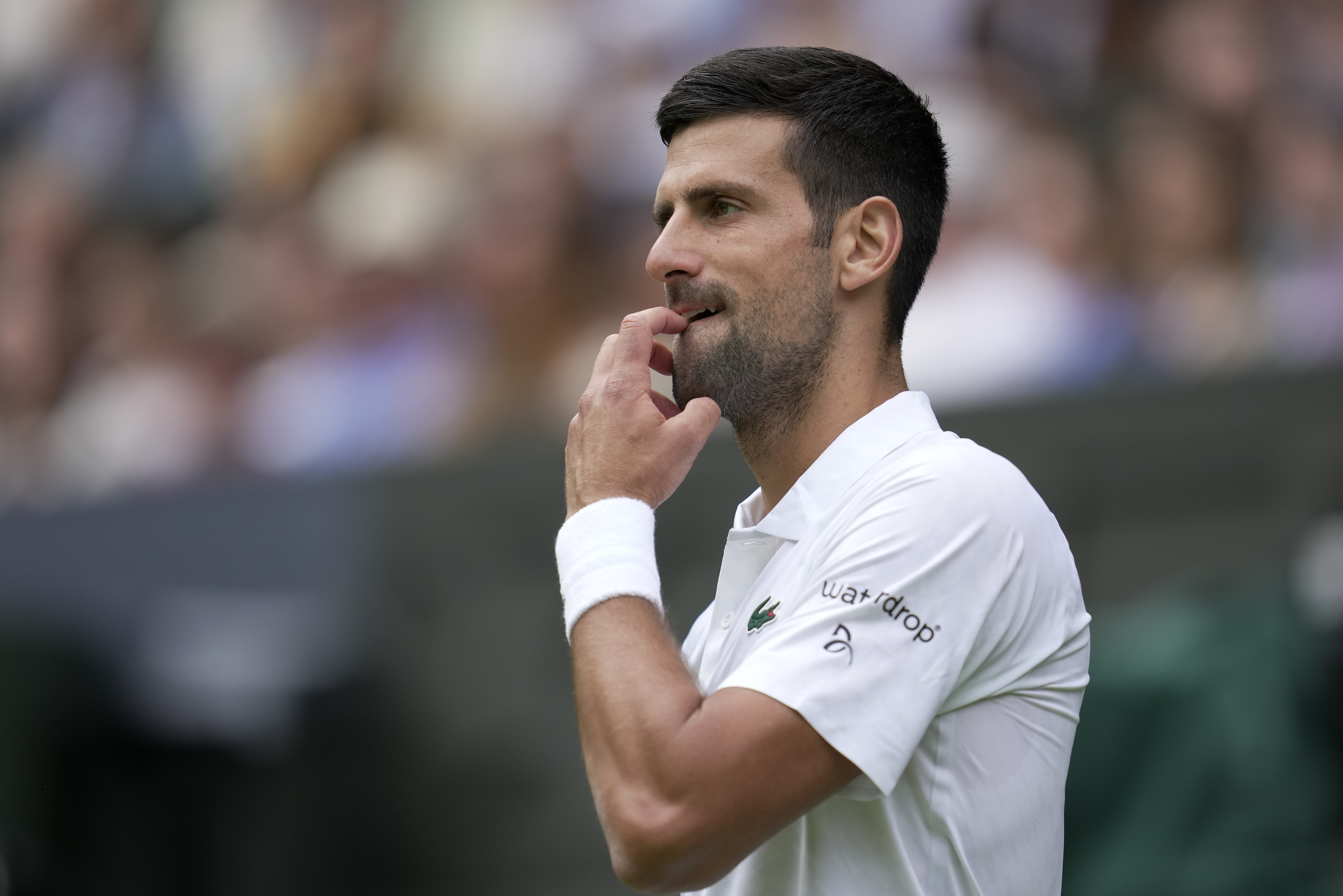 Serbia's Novak Djokovic pauses between points as he plays Argentina's Pedro Cachin in a first round men's singles match on day one of the Wimbledon tennis championships in London, Monday, July 3, 2023. (AP Photo/Kin Cheung)